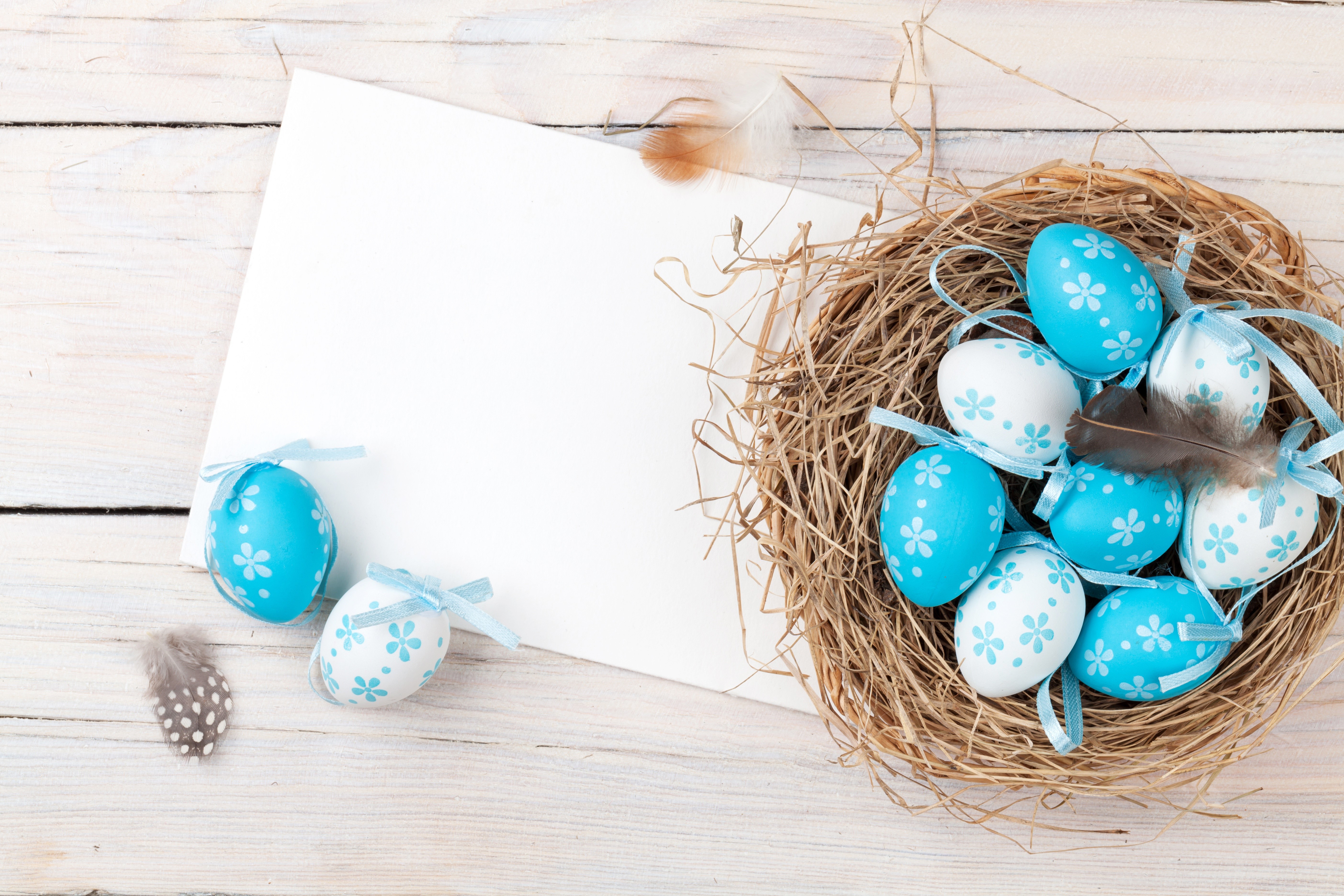Easter eggs in a nest with a blank card HD Wallpaper