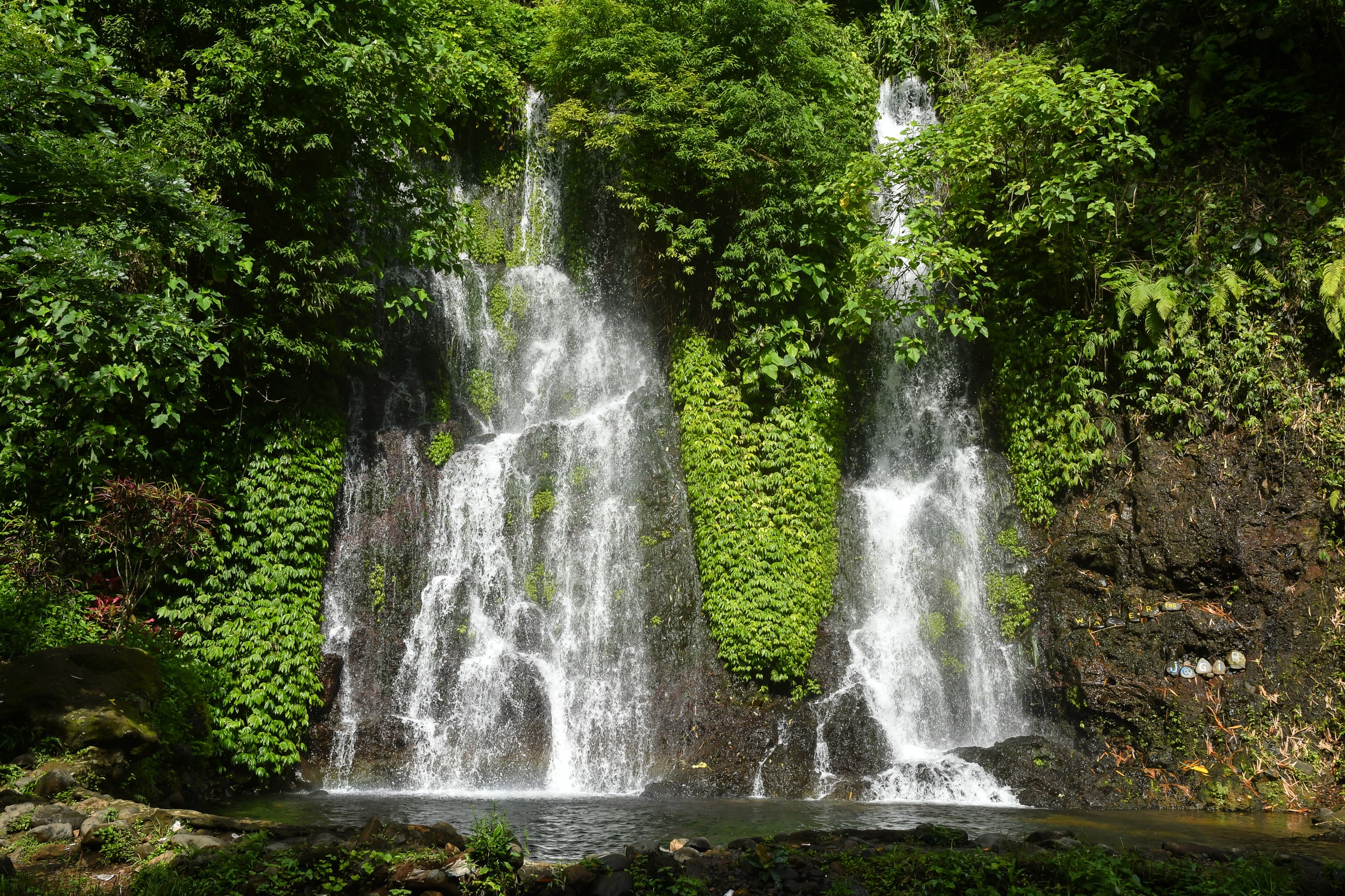 Waterfalls cascading down a rocky cliff in a tropical forest HD Wallpaper