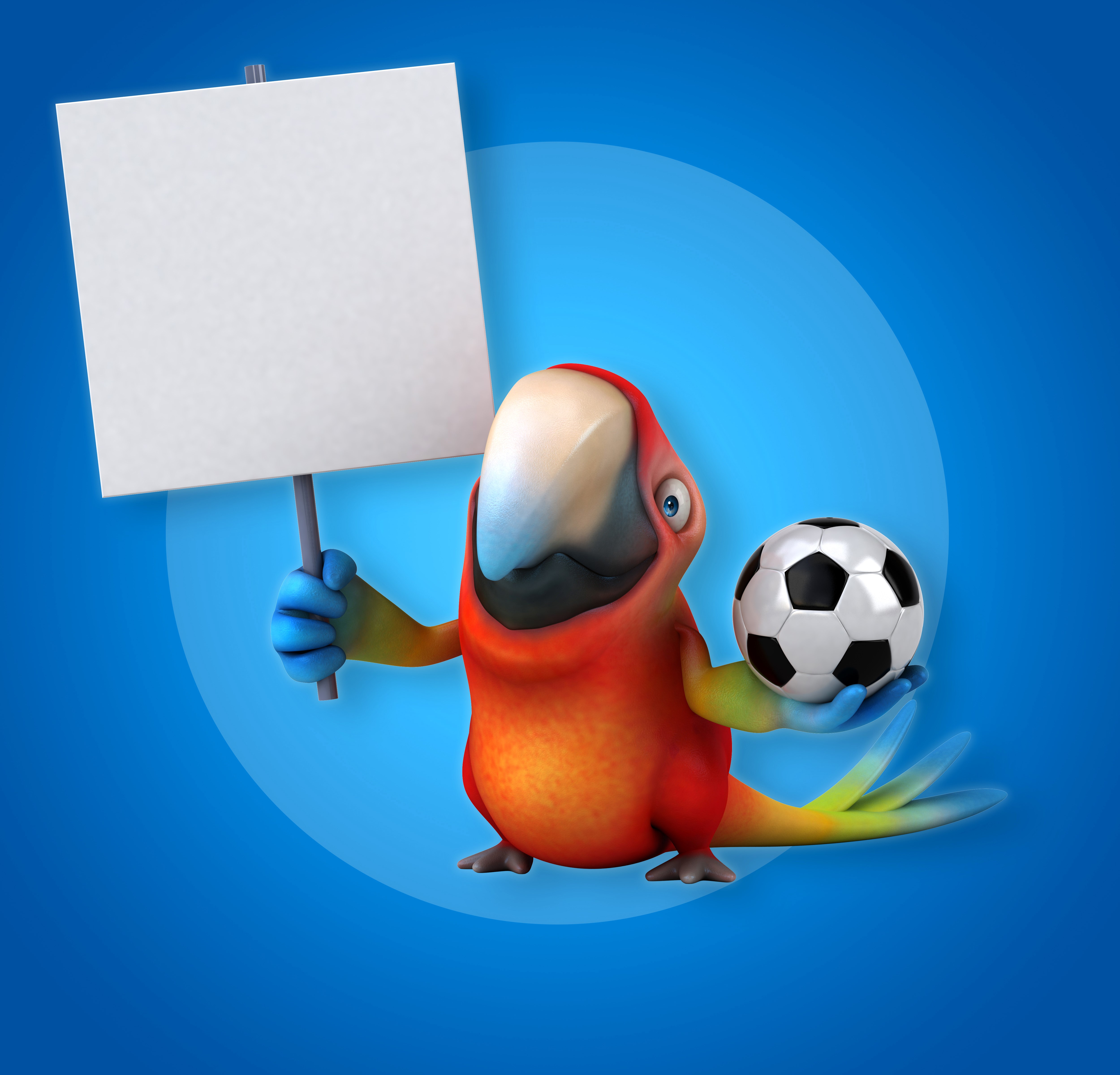Parrot holding a blank sign and a soccer ball HD Wallpaper