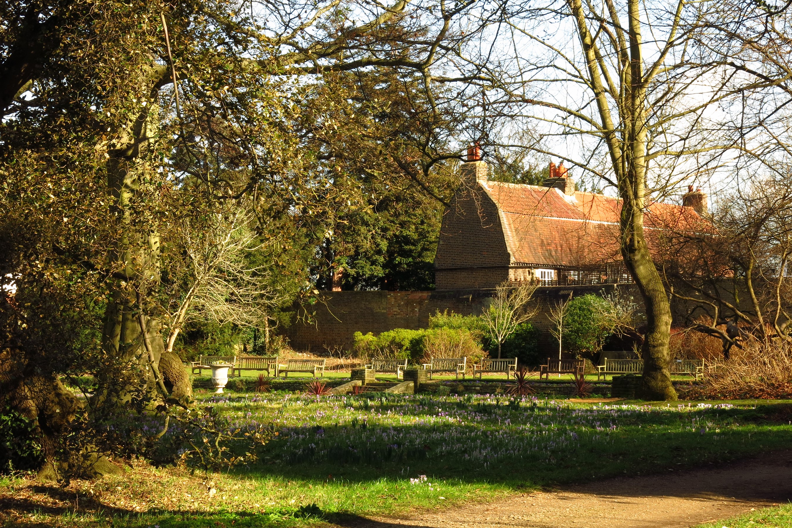 Cannizaro Park in London, England during Spring HD Wallpaper