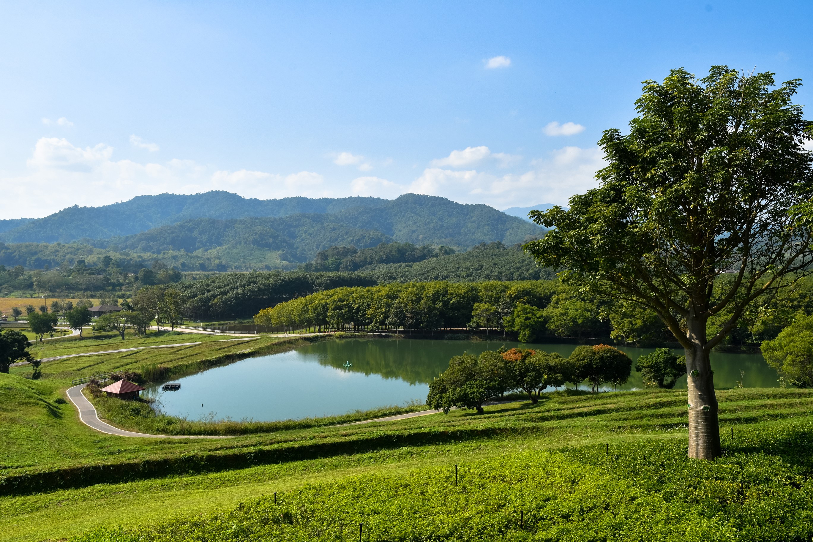 Lake and mountains in Chiang Rai, Thailand HD Wallpaper
