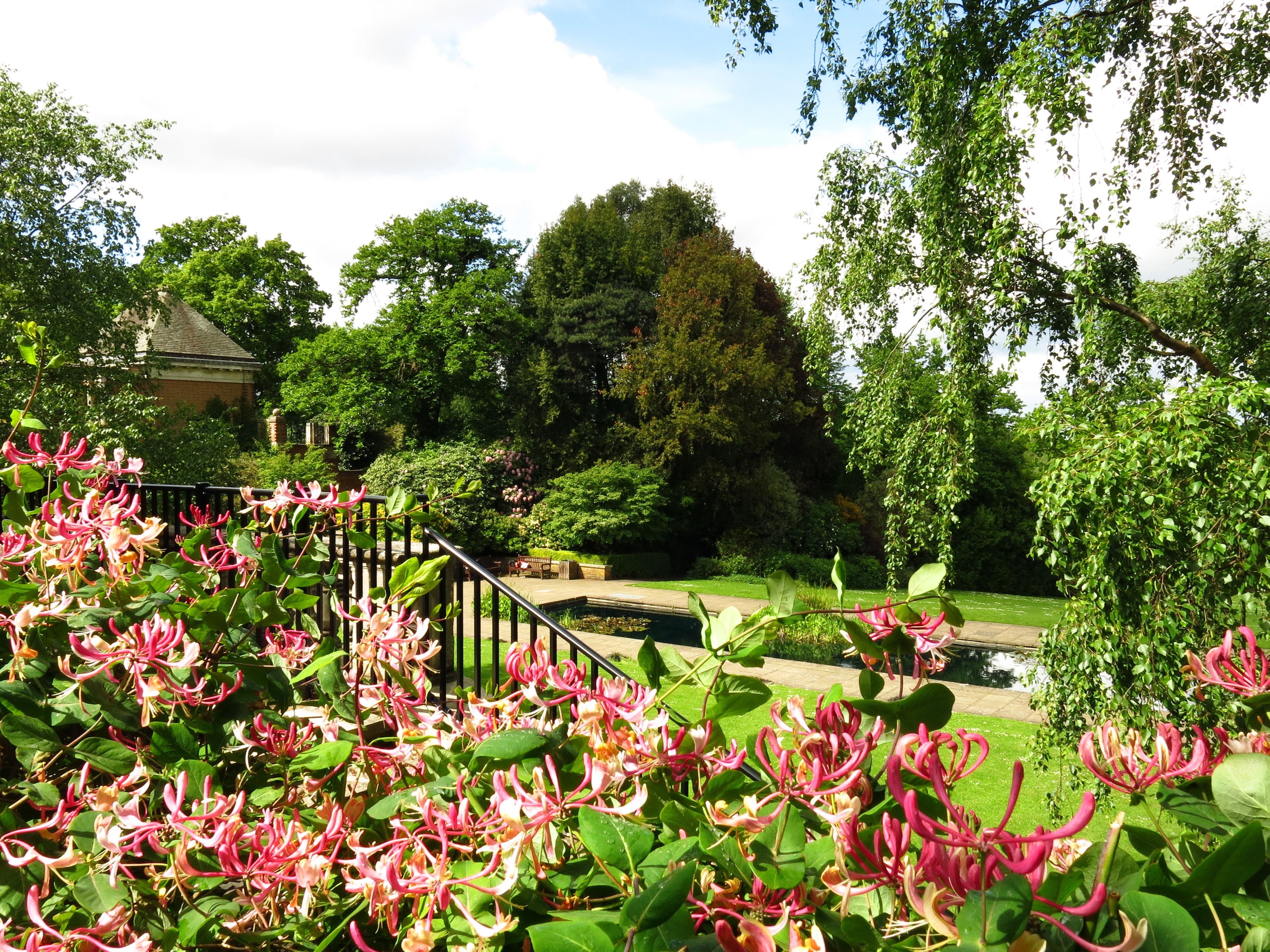 Hill Garden with Honeysuckle and Pond in London HD Wallpaper