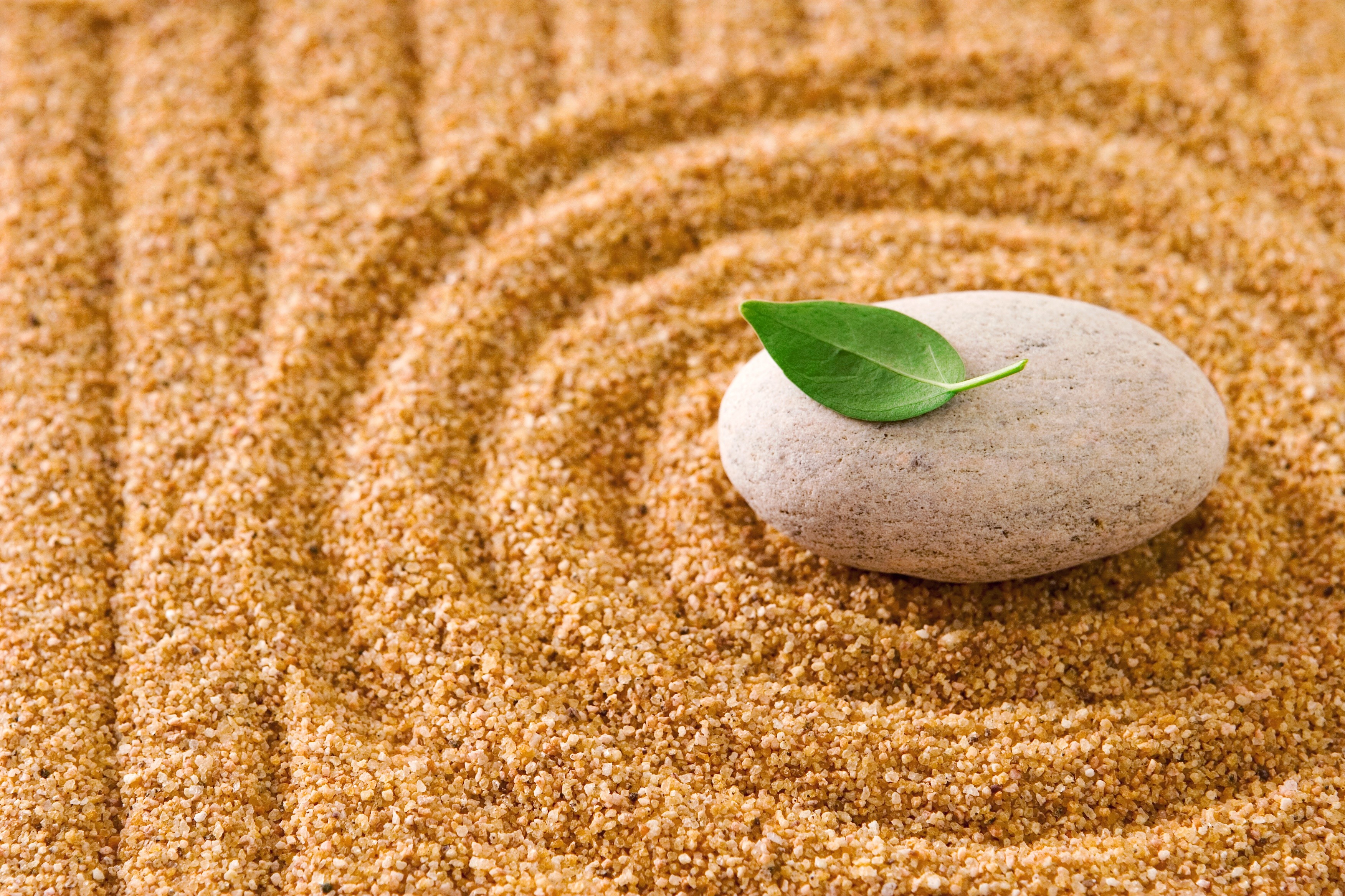 Zen garden with stone and leaf HD Wallpaper
