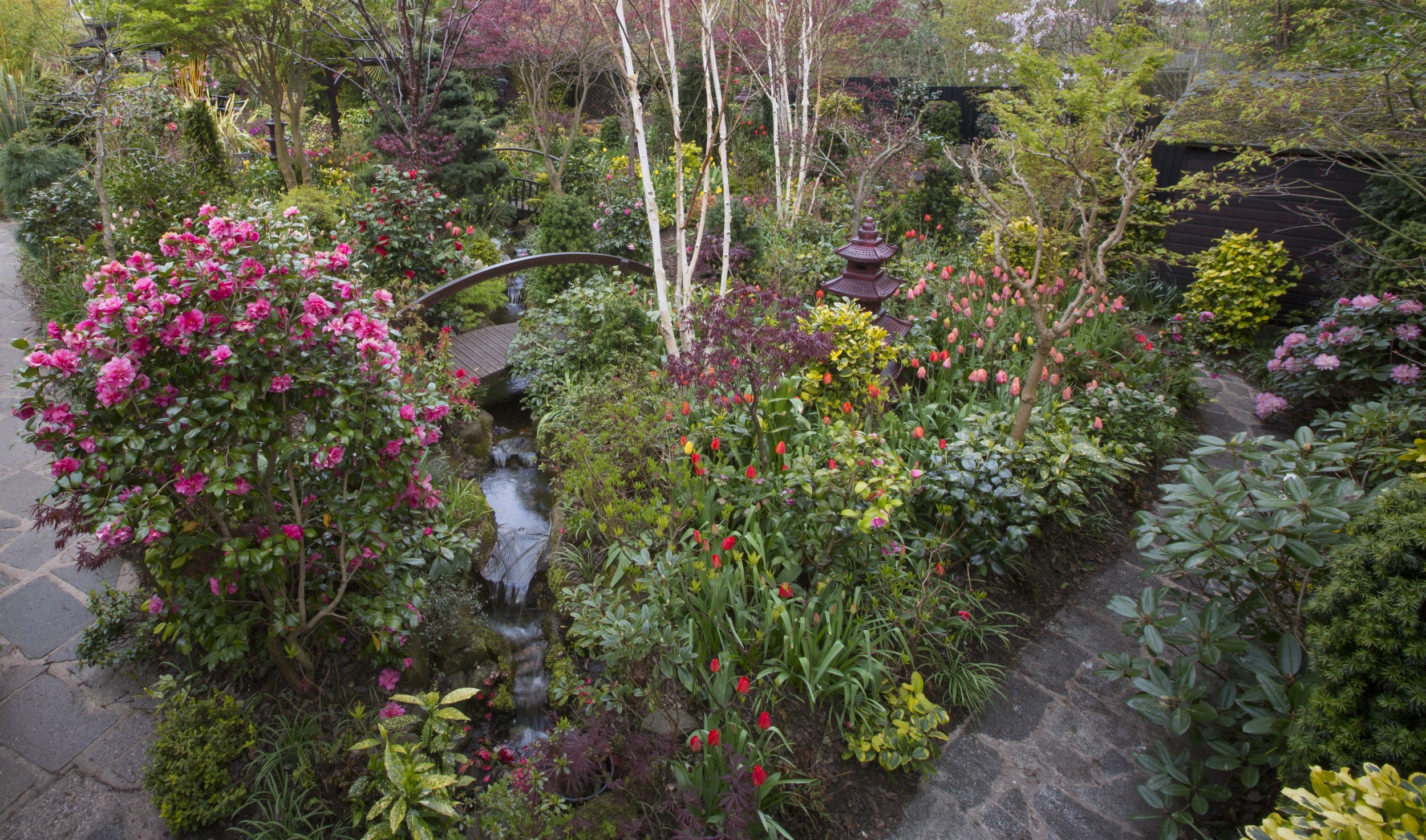Japanese Garden with Blooming Flowers and Water Feature HD Wallpaper