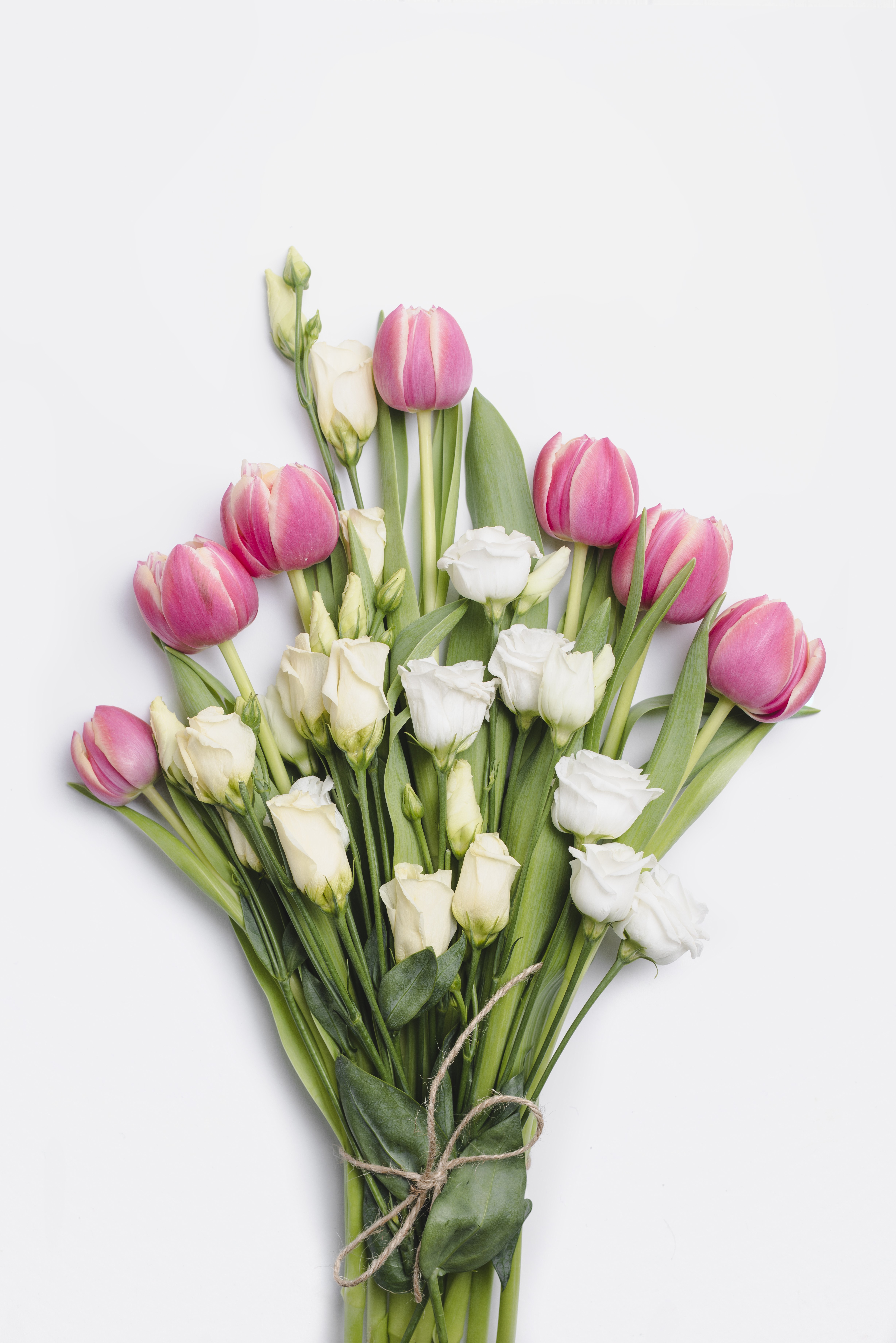 Bouquet of Pink Tulips and White Eustoma Flowers HD Phone Wallpaper