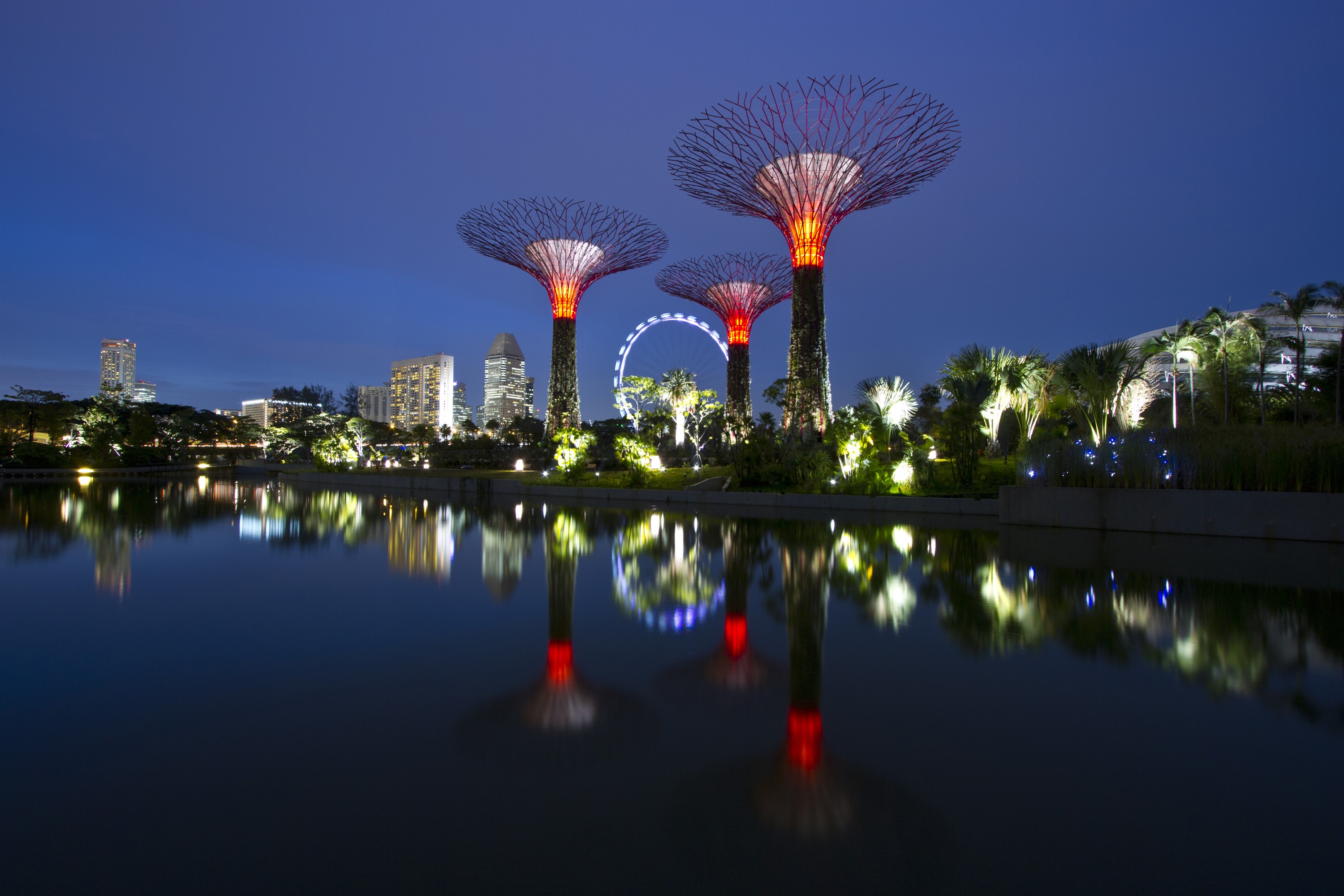 Gardens by the Bay Singapore at night with reflections HD Wallpaper
