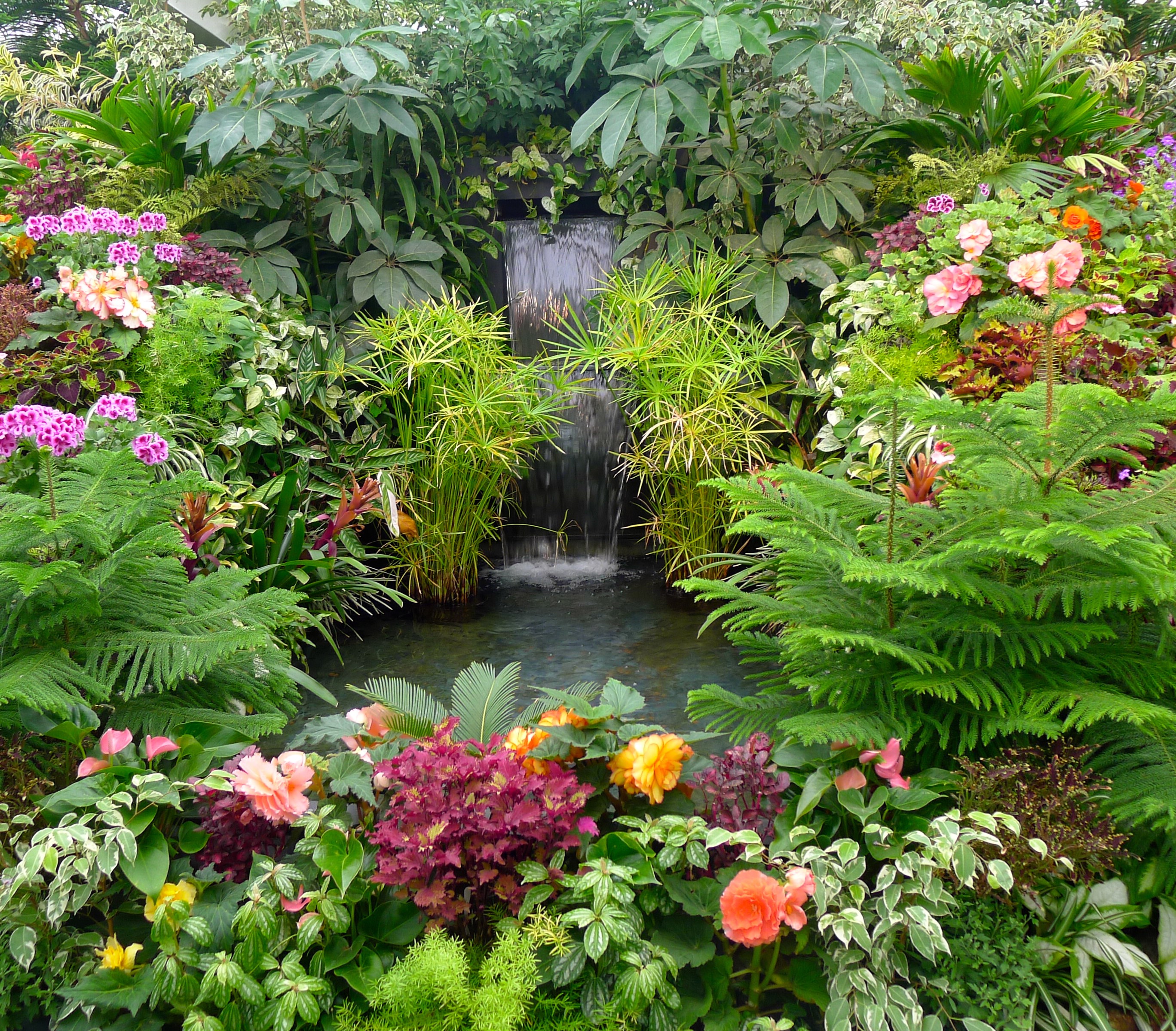 Tropical garden with a waterfall and diverse plants HD Wallpaper