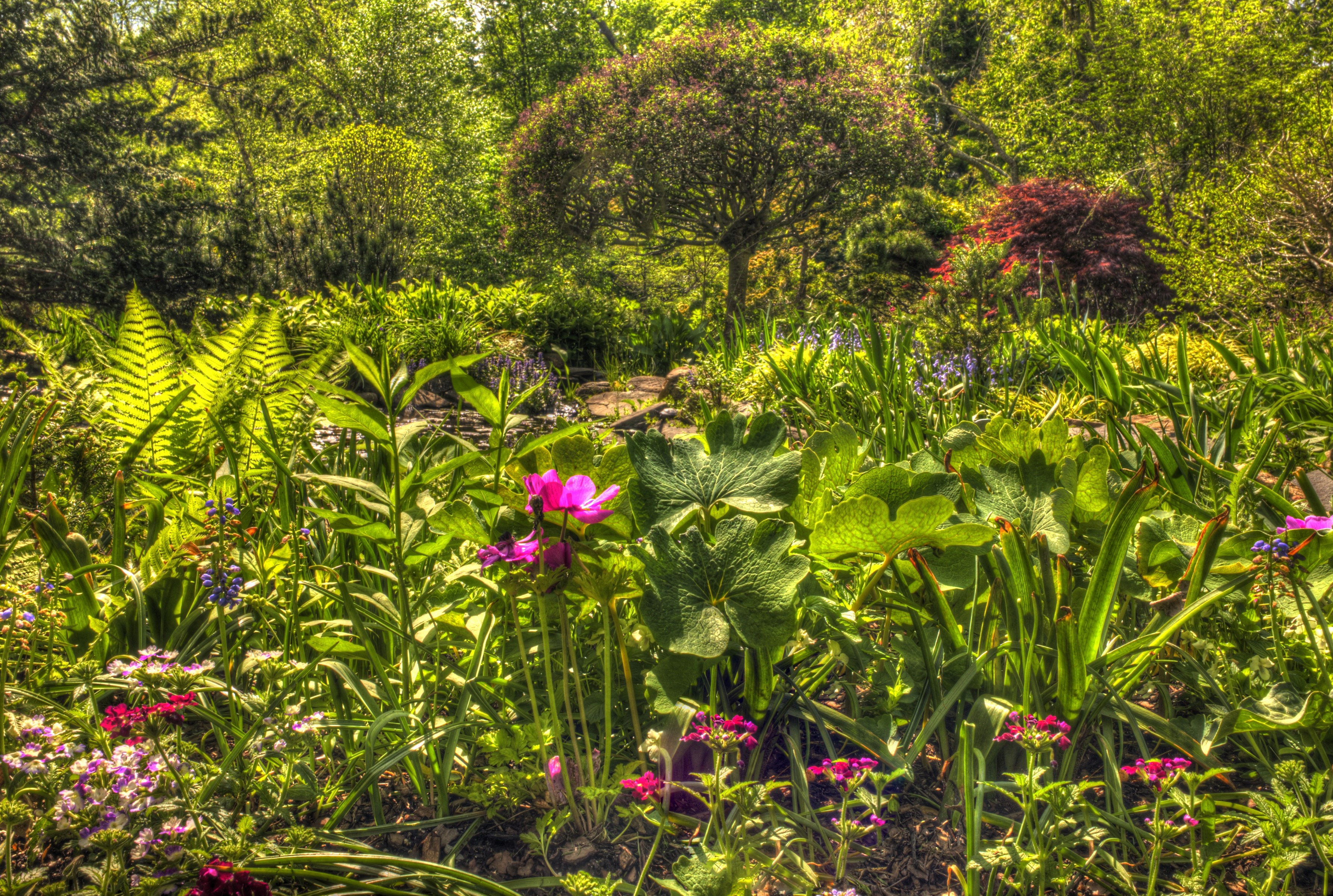 A vibrant garden with blooming flowers and lush greenery HD Wallpaper