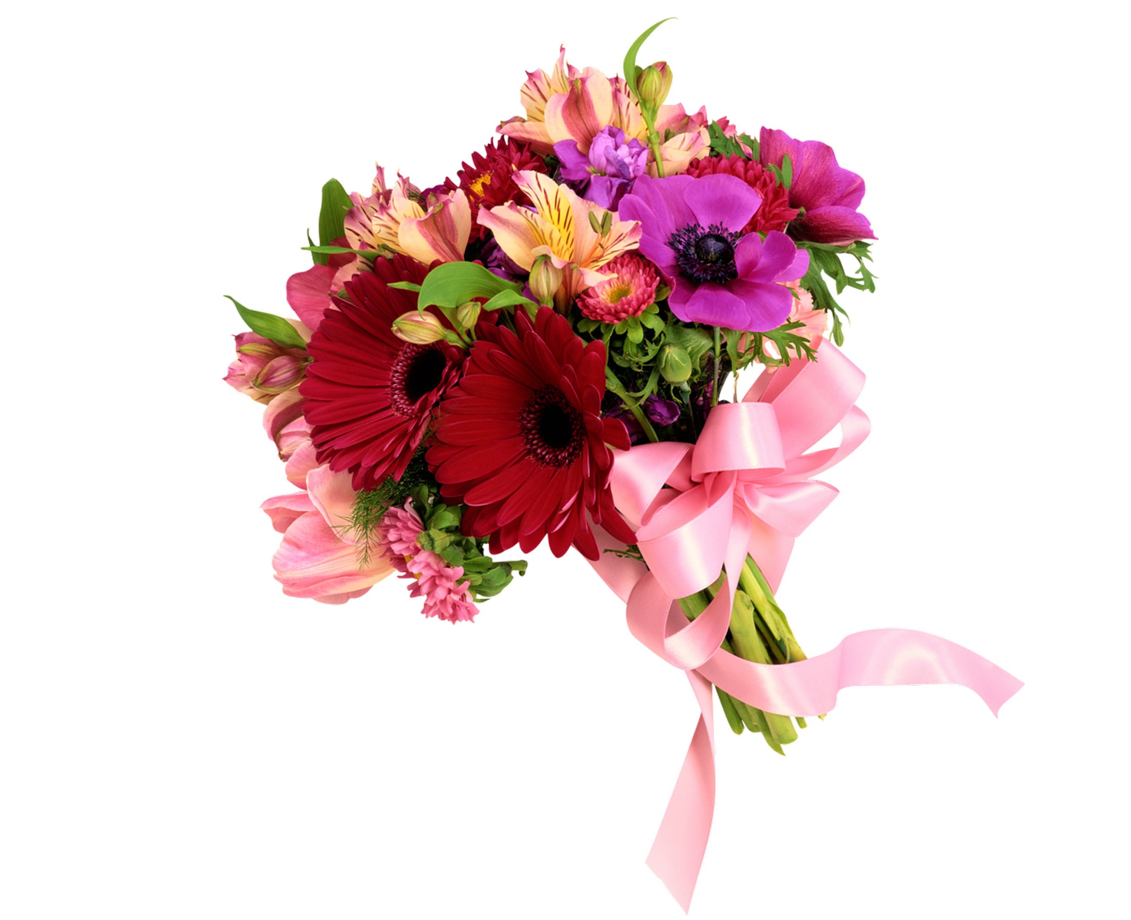 Bouquet of Alstroemeria, Gerberas, and Anemones with Pink Bow HD Wallpaper