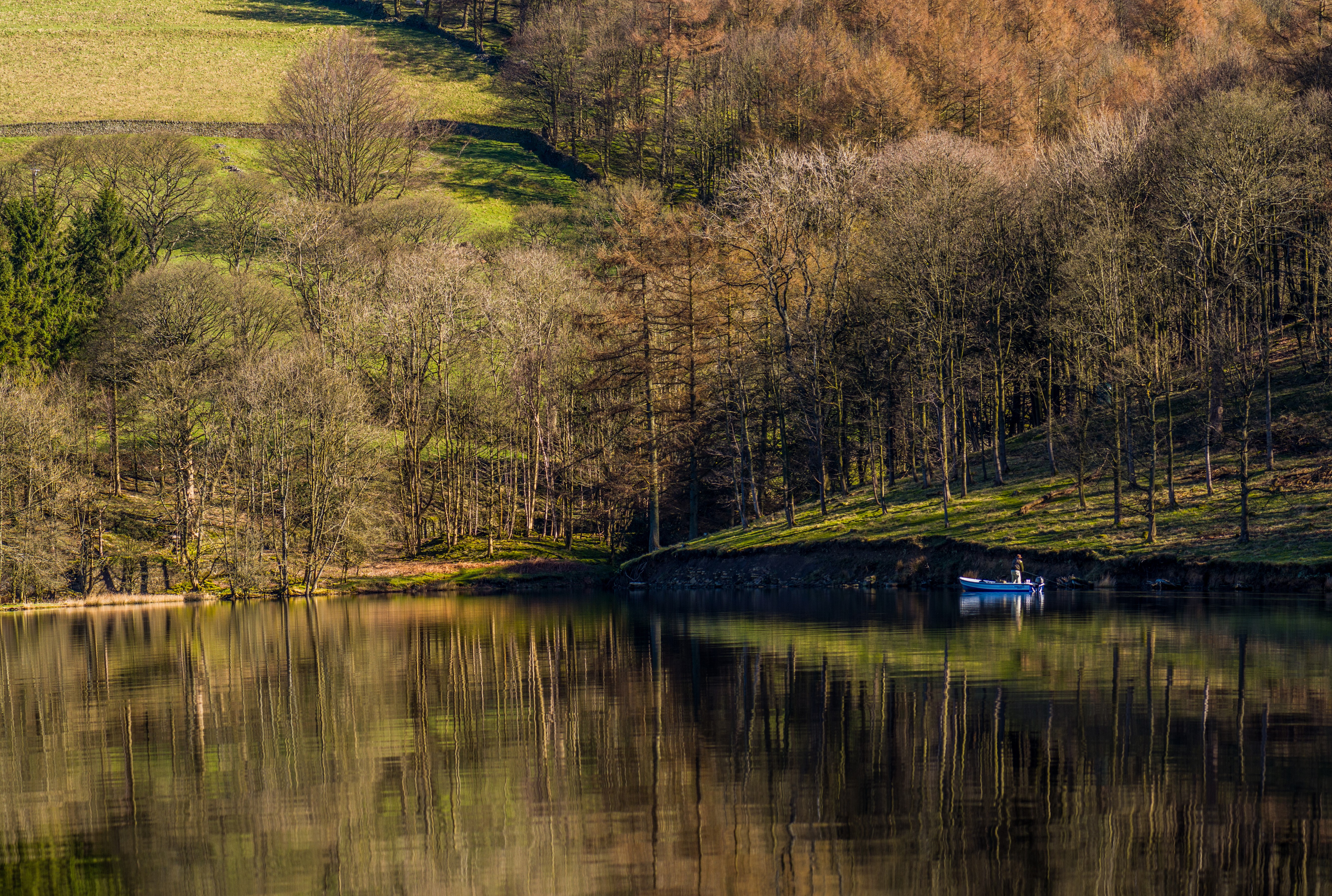 Lake with trees and a person in a boat HD Wallpaper