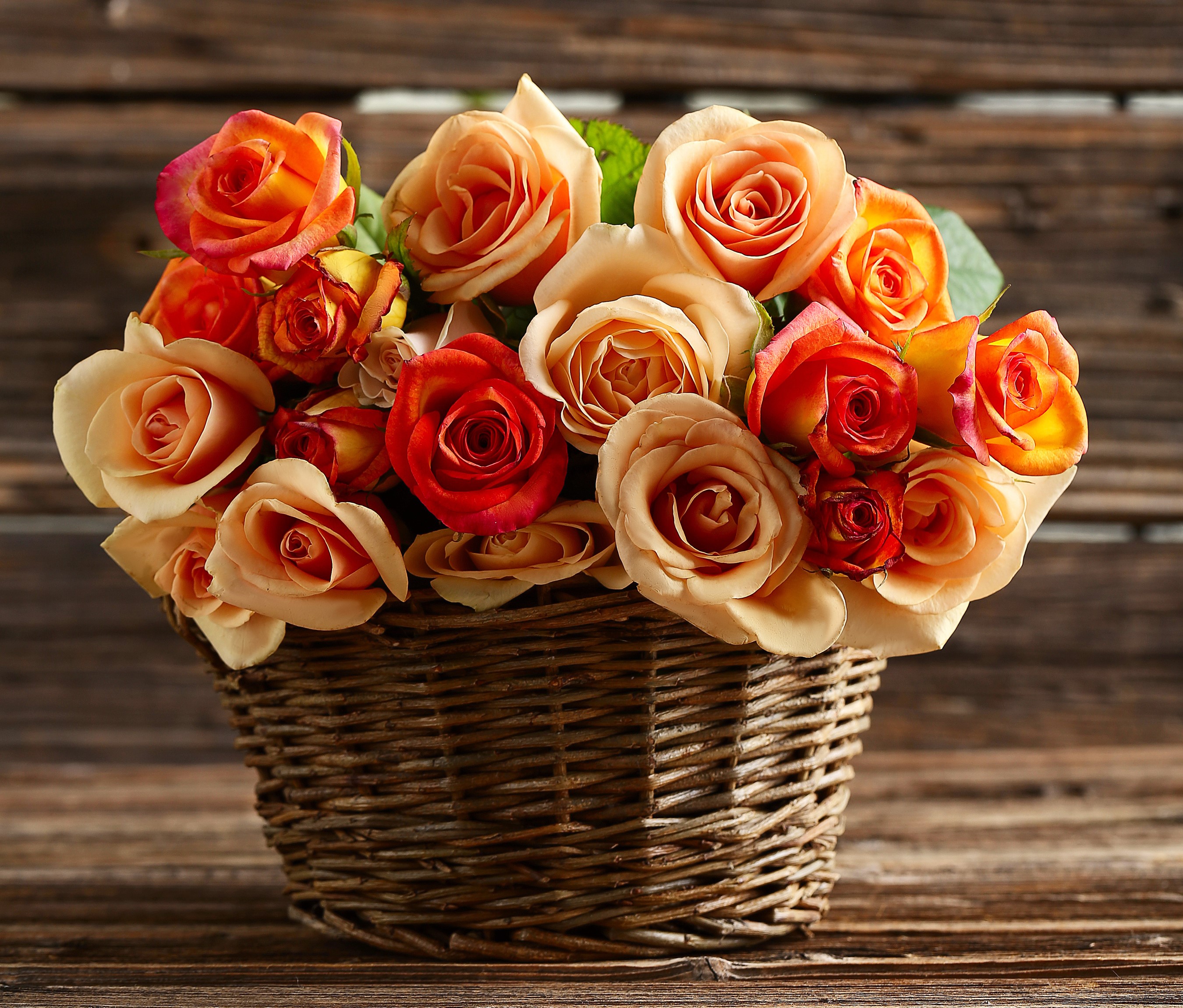 A wicker basket filled with orange and red roses HD Wallpaper