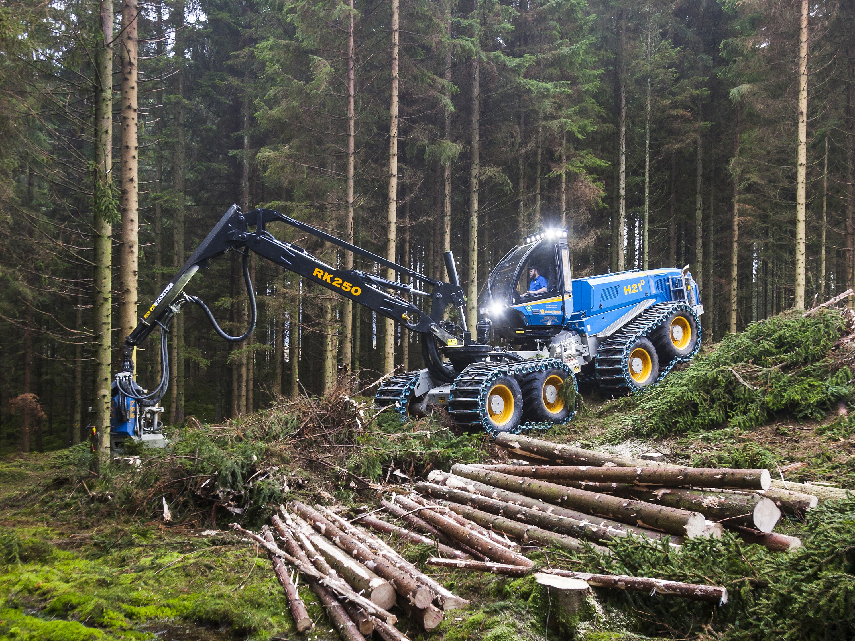 Rottne H21D Harvester in a Forest HD Wallpaper