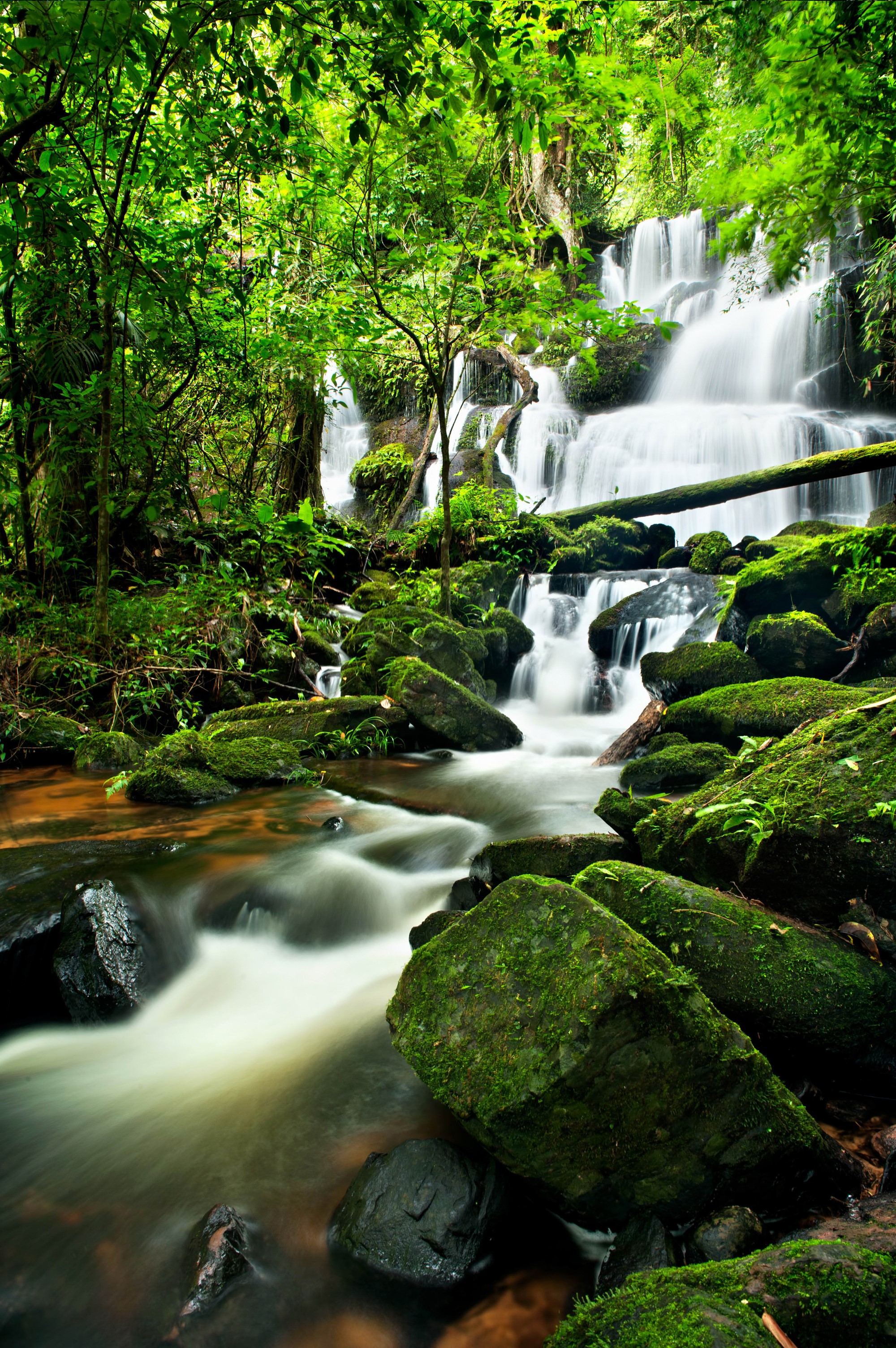 Waterfall cascading over moss-covered rocks in a lush forest HD Phone Wallpaper