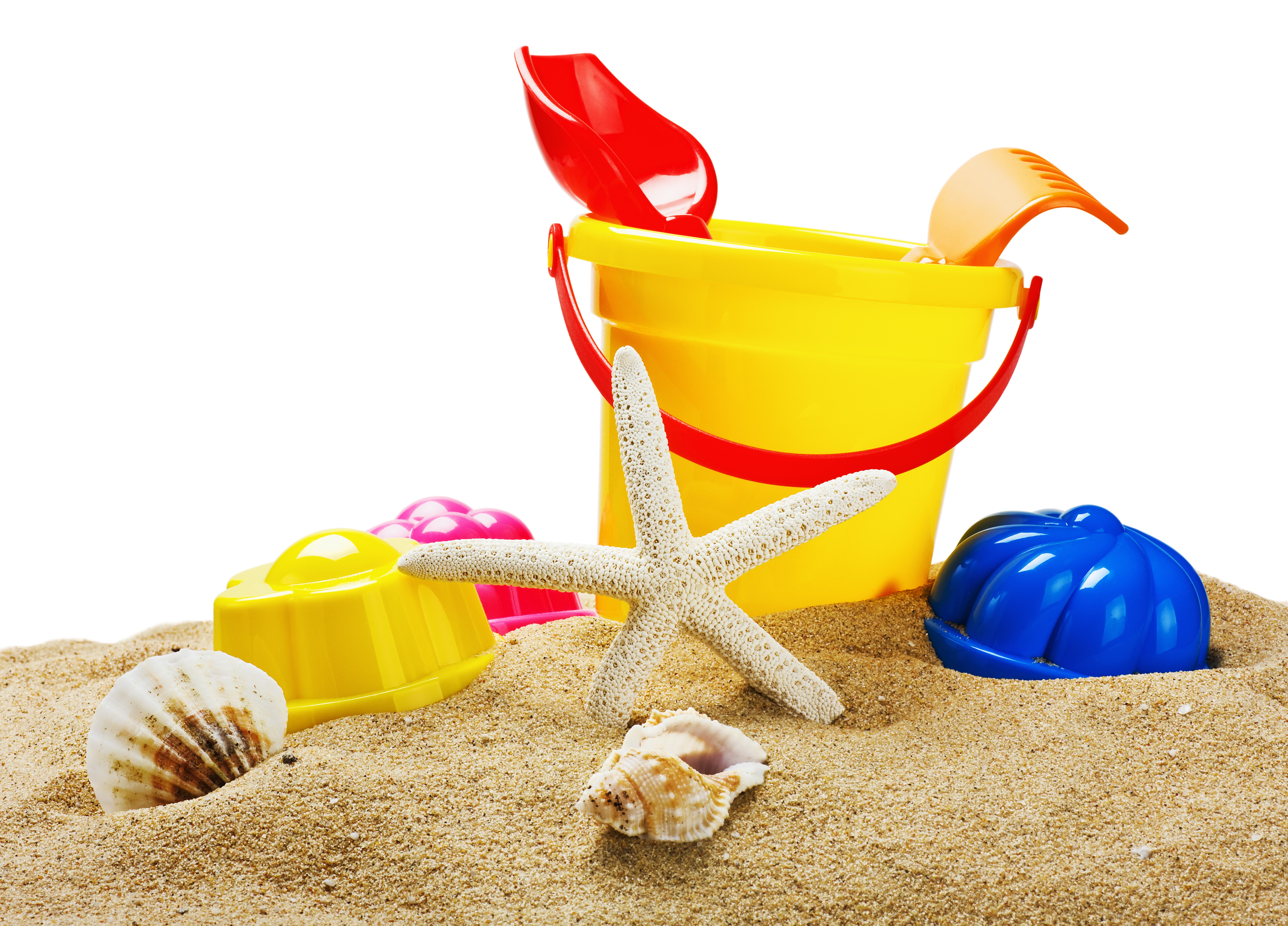 Beach toys and shells on sand HD Wallpaper
