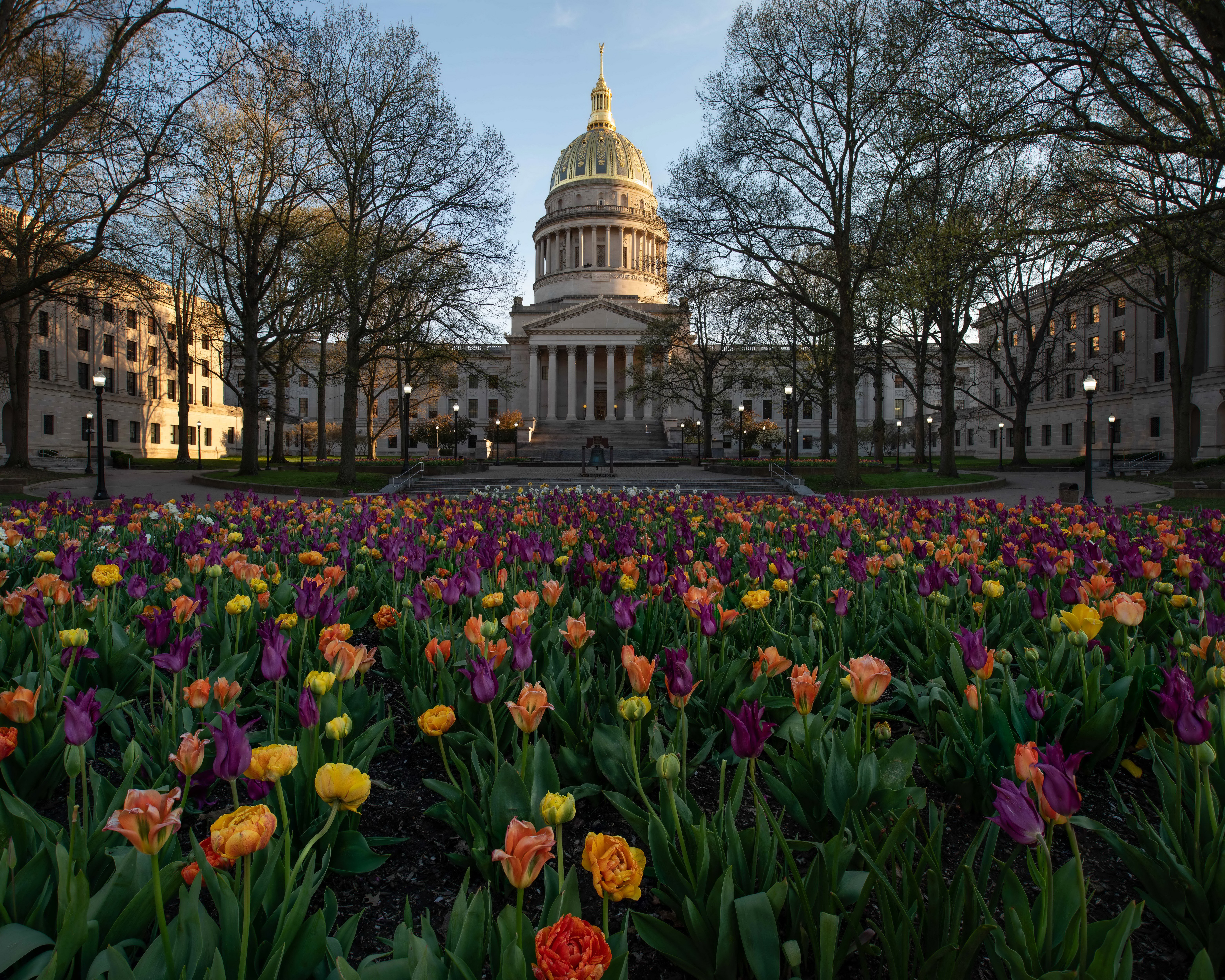 West Virginia State Capitol Building with Tulips HD Wallpaper