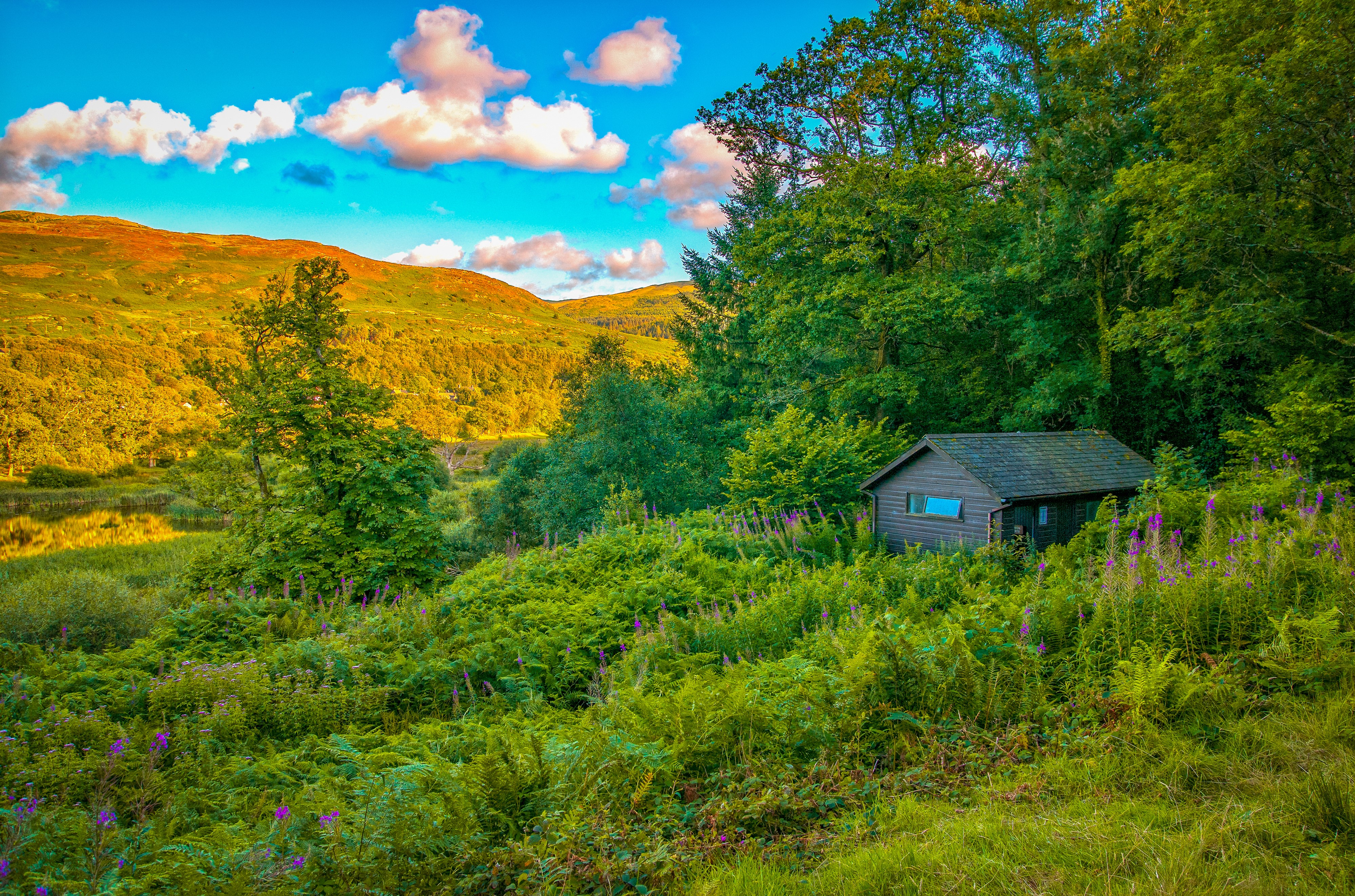 Small cabin in a green forest with hills and clouds HD Wallpaper