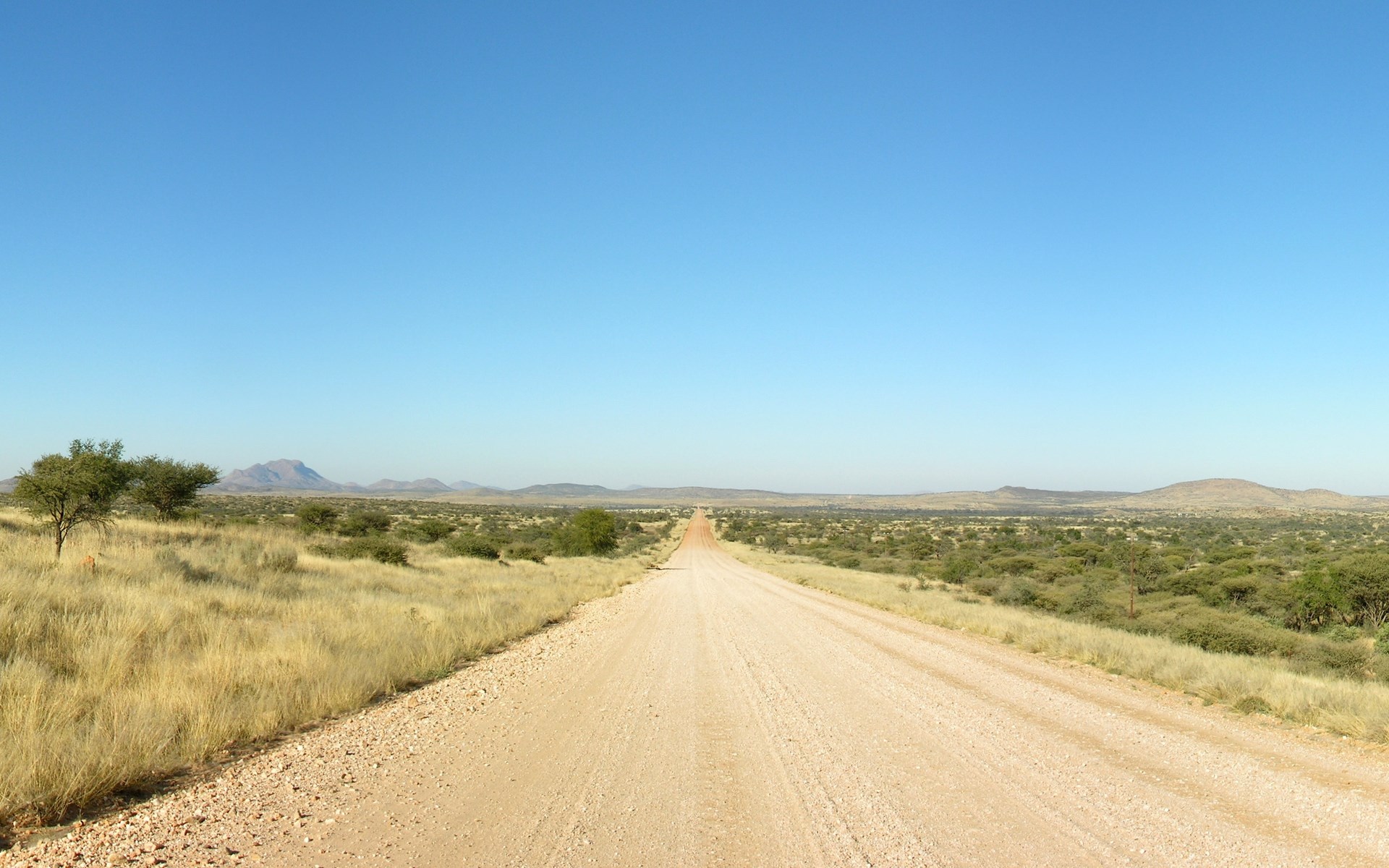 Dirt road through a savanna landscape HD Wallpaper