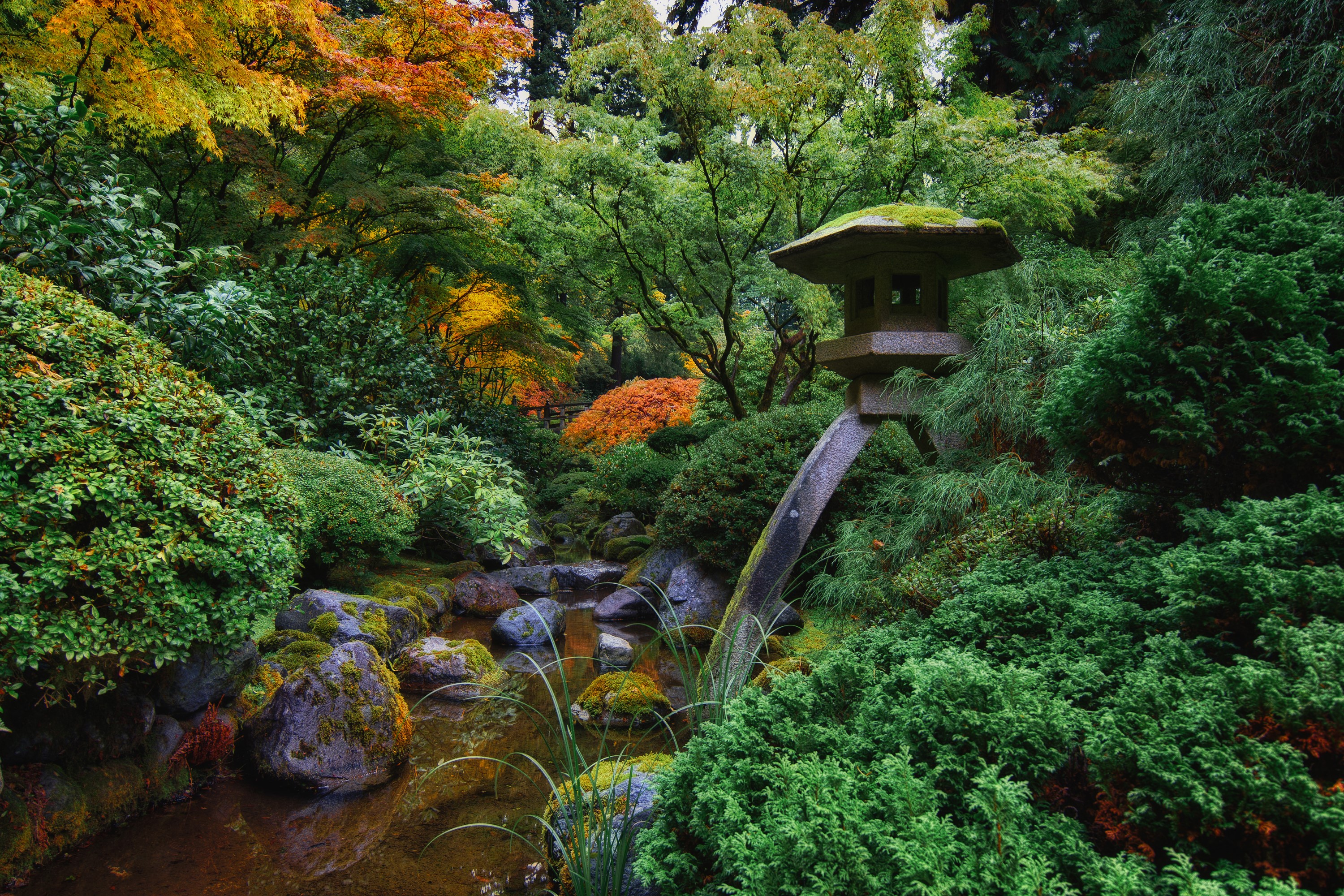 Portland Japanese Garden with Stream and Stone Lantern HD Wallpaper