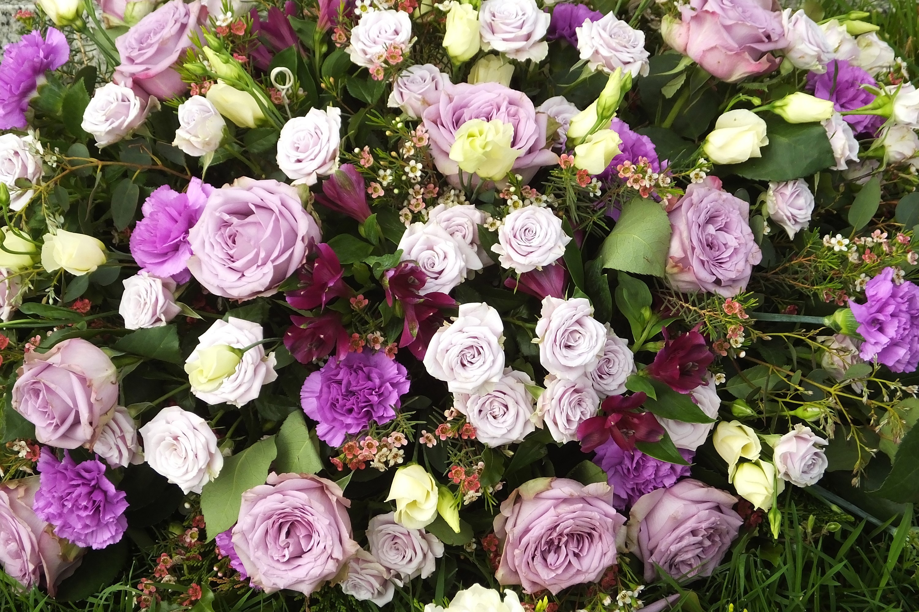 Purple and White Roses and Carnations Floral Arrangement HD Wallpaper