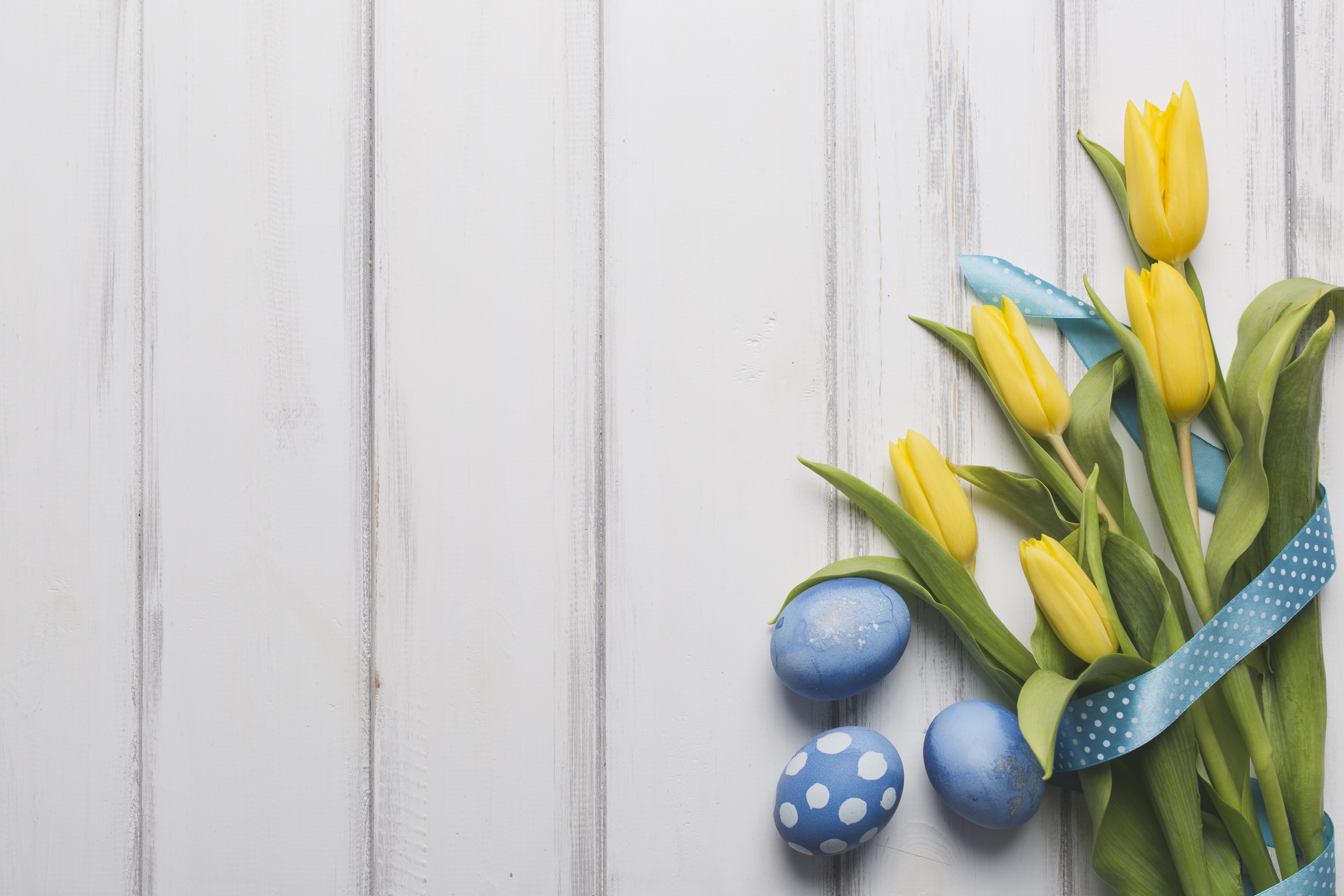 Yellow Tulips and Blue Easter Eggs with Ribbon HD Wallpaper