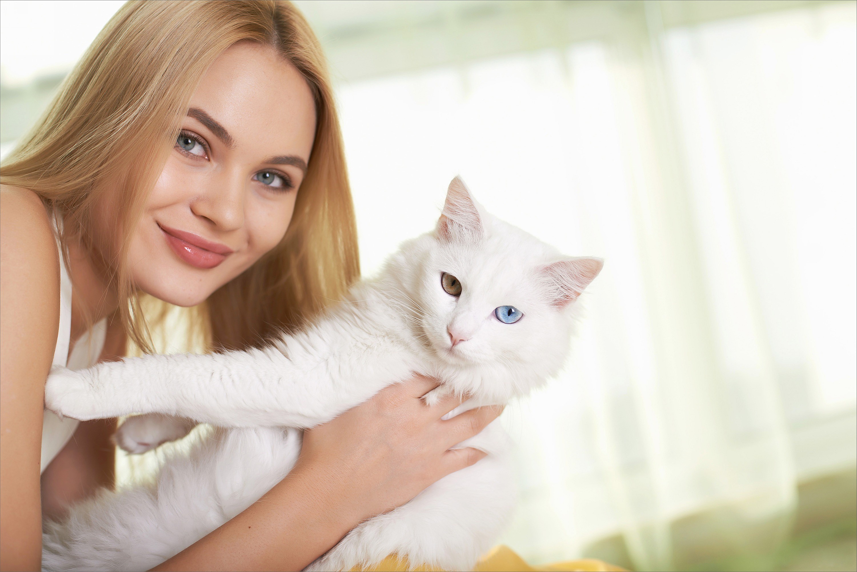 Woman holding a white cat with heterochromia HD Wallpaper