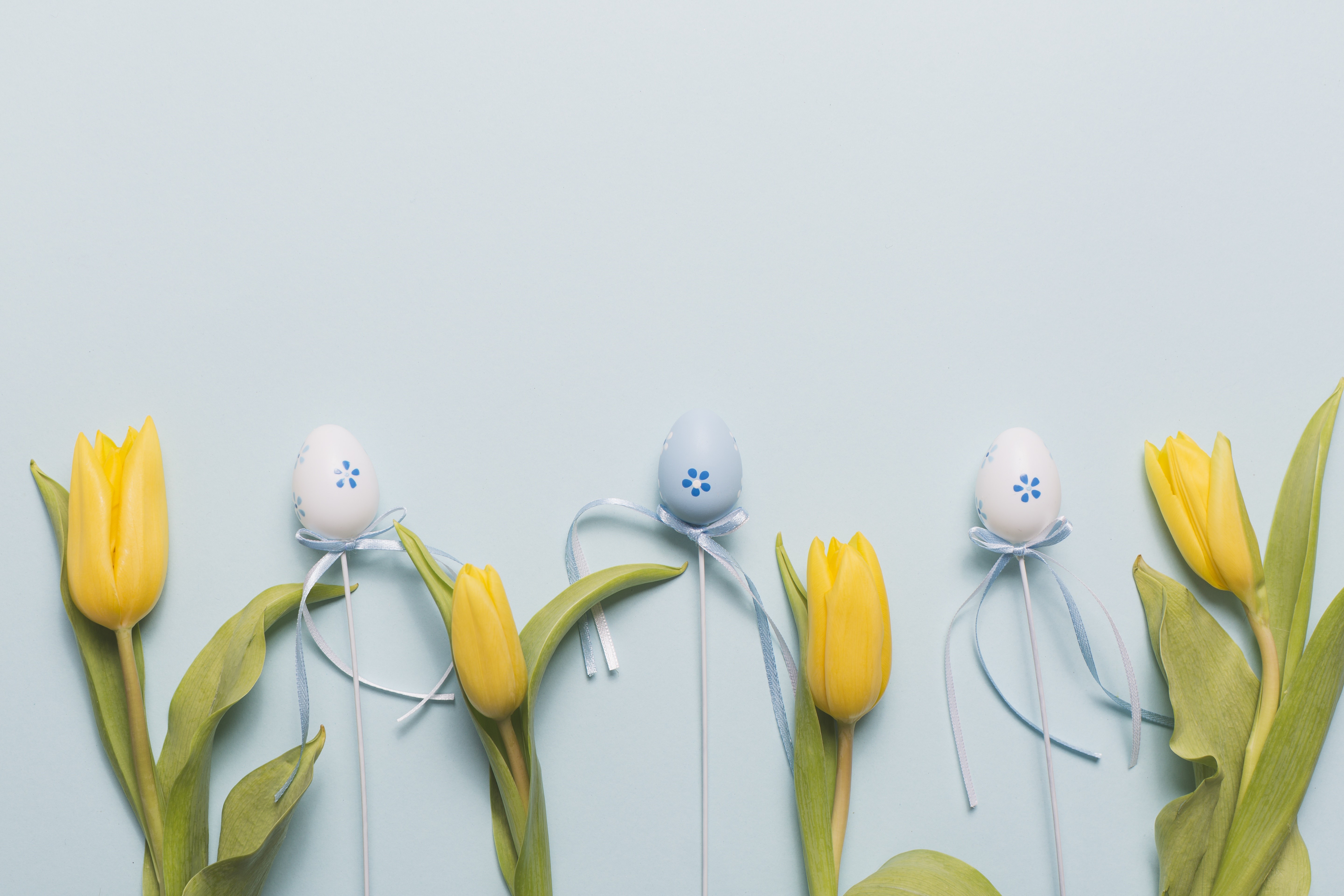 Yellow Tulips and Easter Eggs on Blue Background HD Wallpaper
