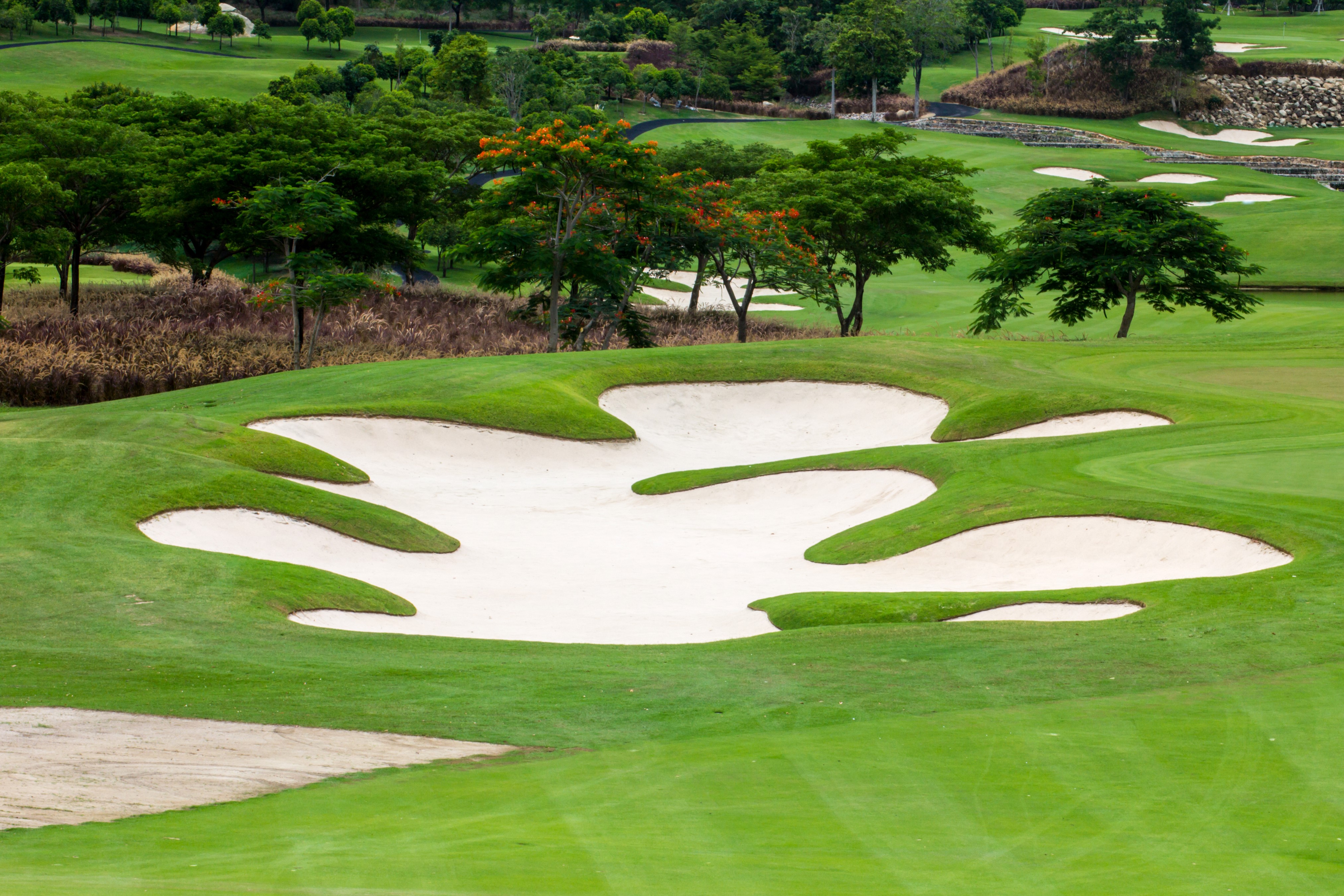 Golf course with sand traps and trees HD Wallpaper