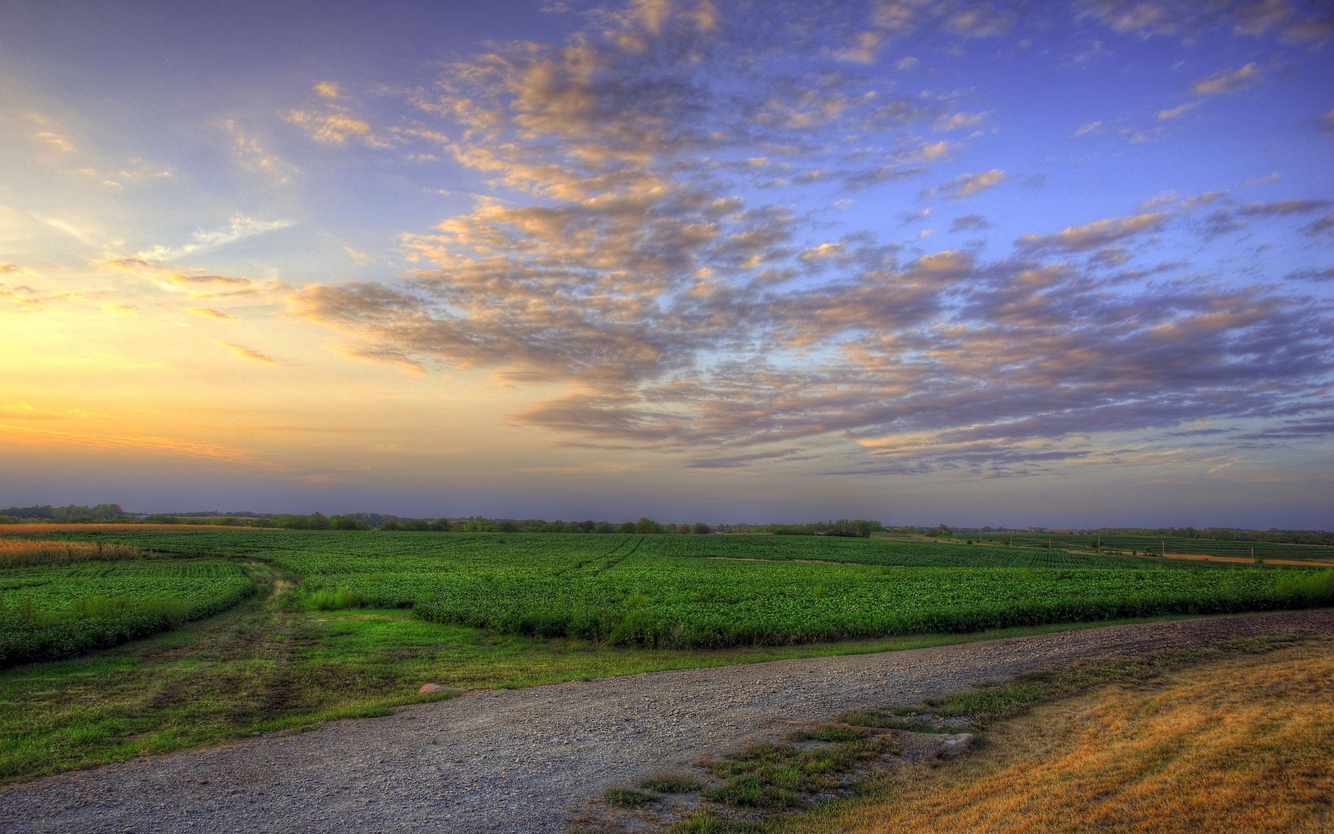 Sunset over a rural landscape with fields and clouds HD Wallpaper