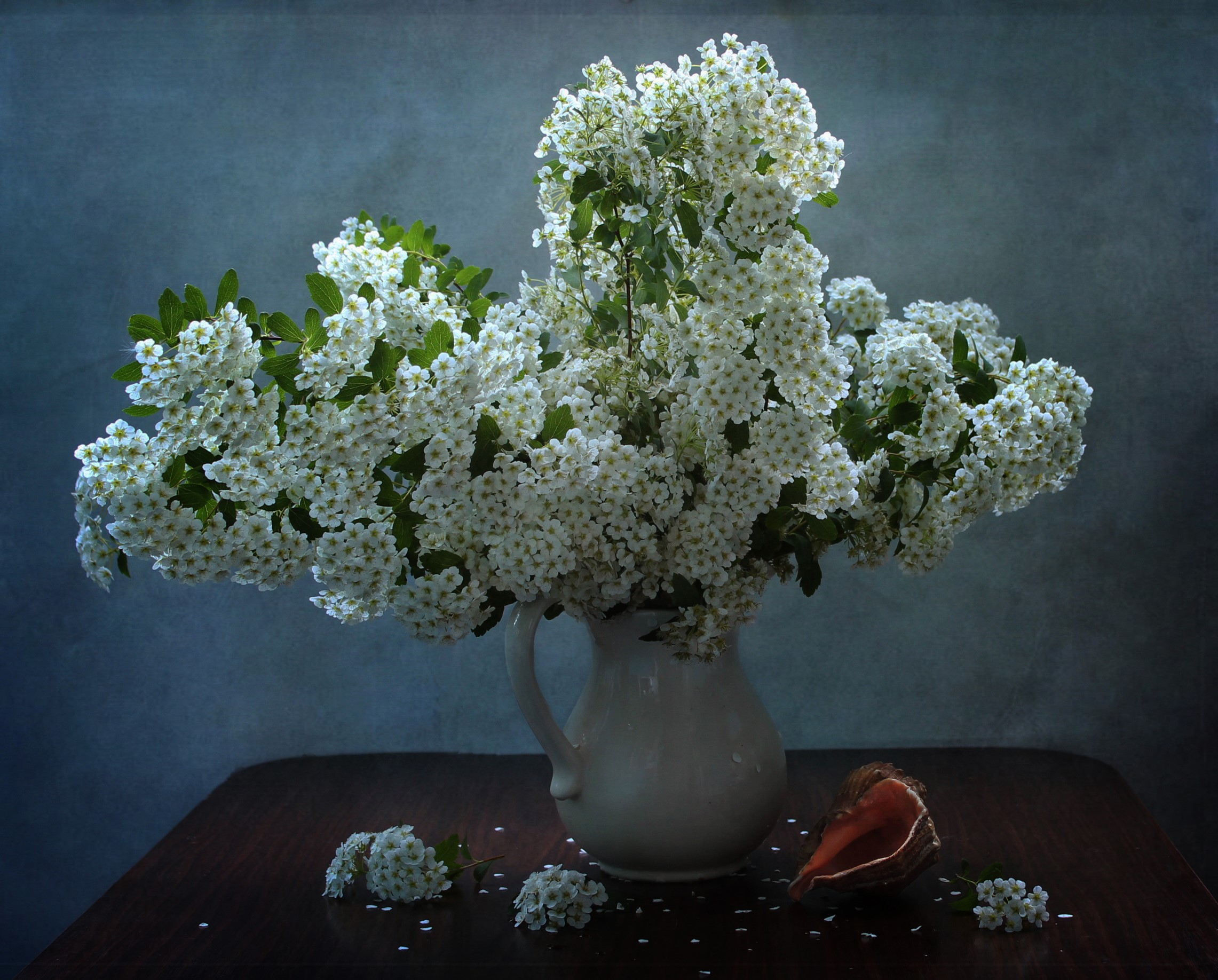 White flowers in a vase with a seashell HD Wallpaper