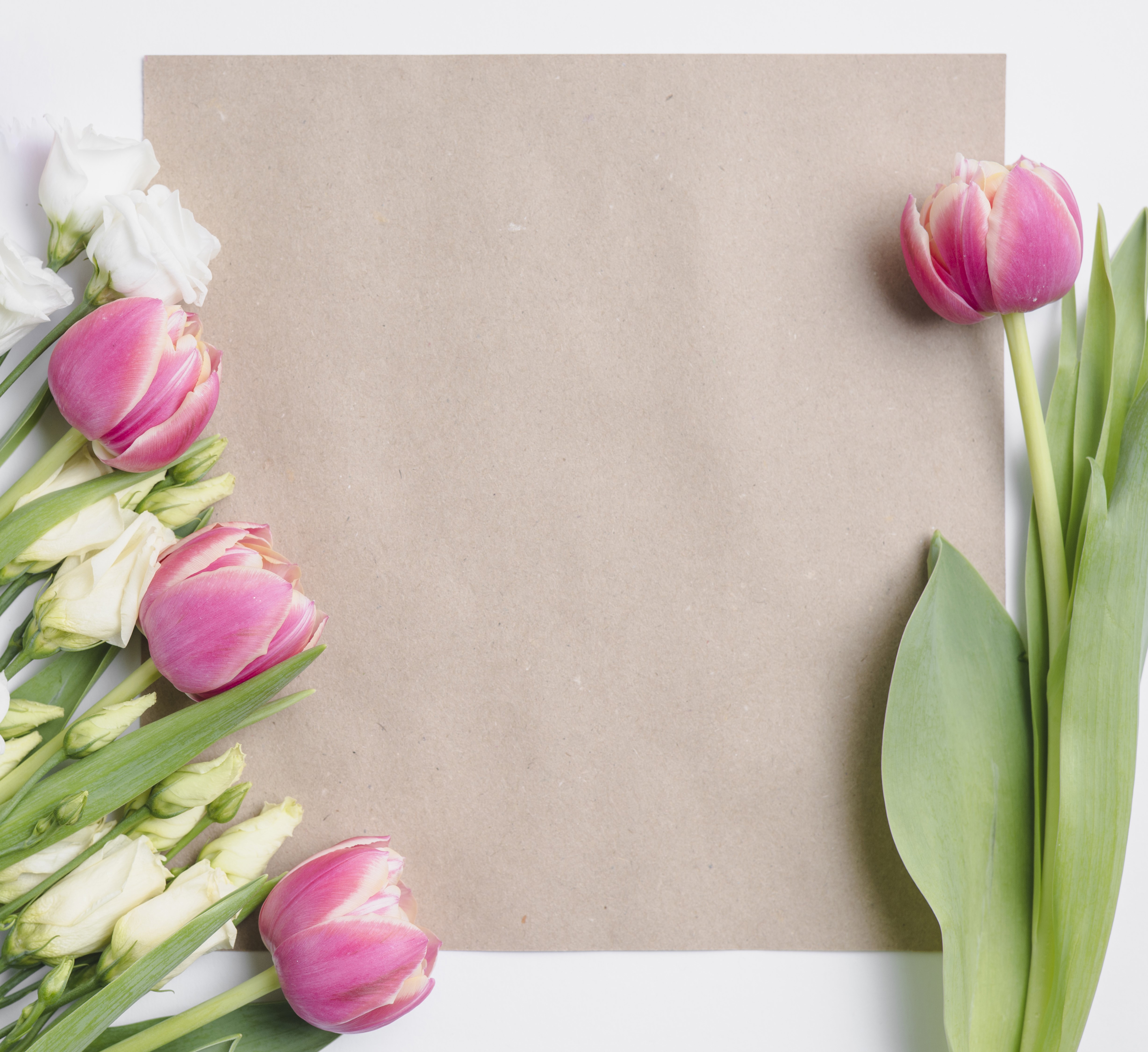 Pink and white flowers on brown paper template HD Wallpaper
