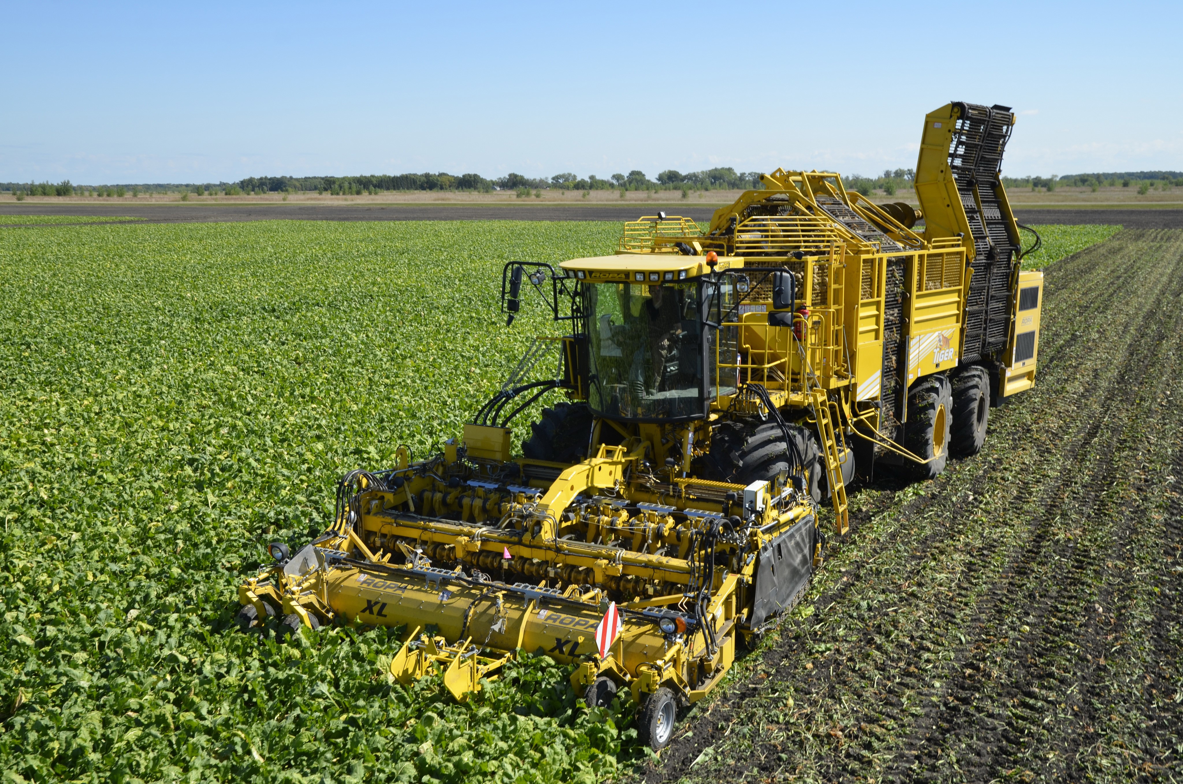 2011-14 ROPA euro-Tiger V8-4 XL agricultural machinery HD Wallpaper