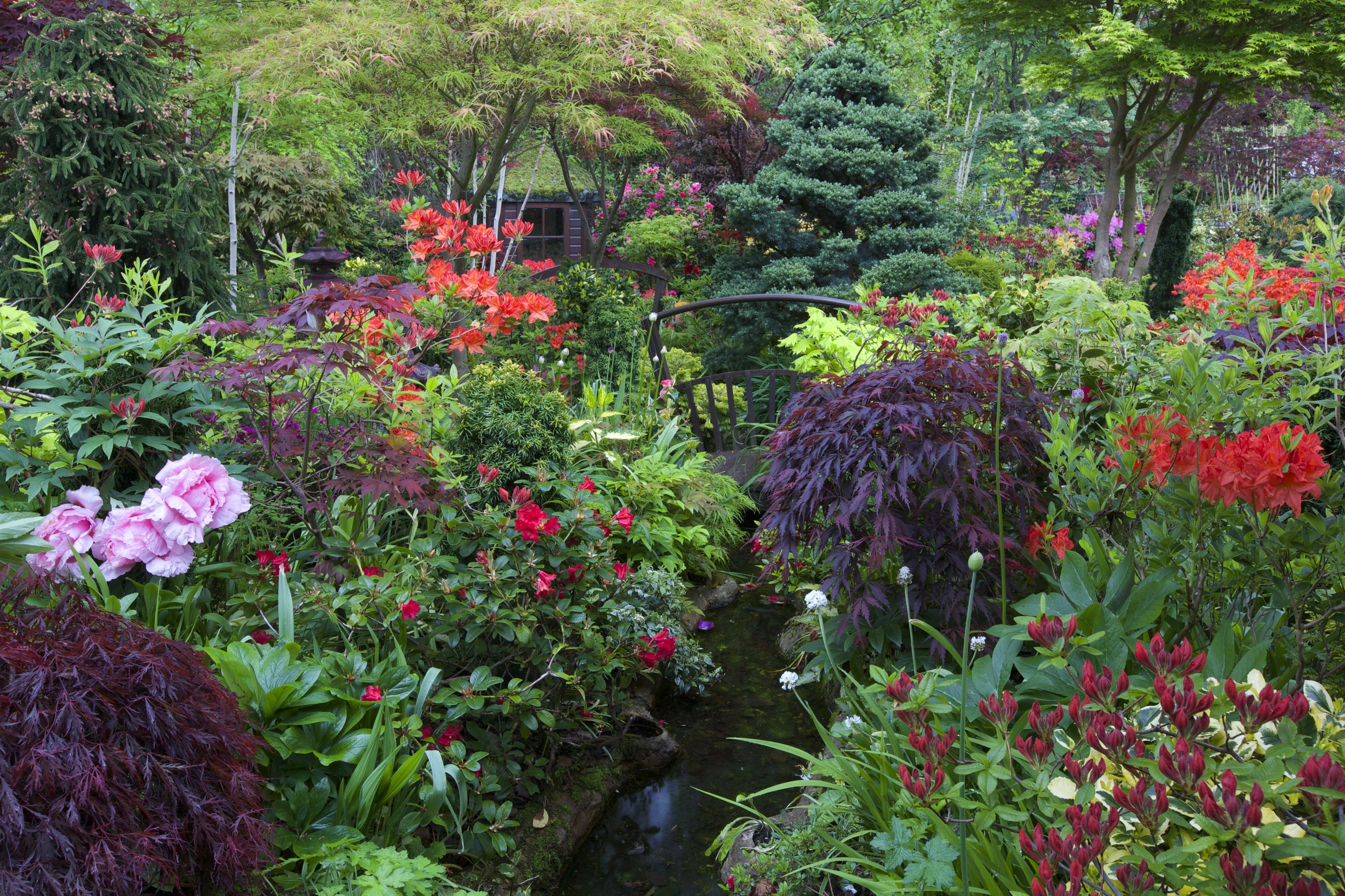 Beautiful garden with a stream and bridge in England HD Wallpaper