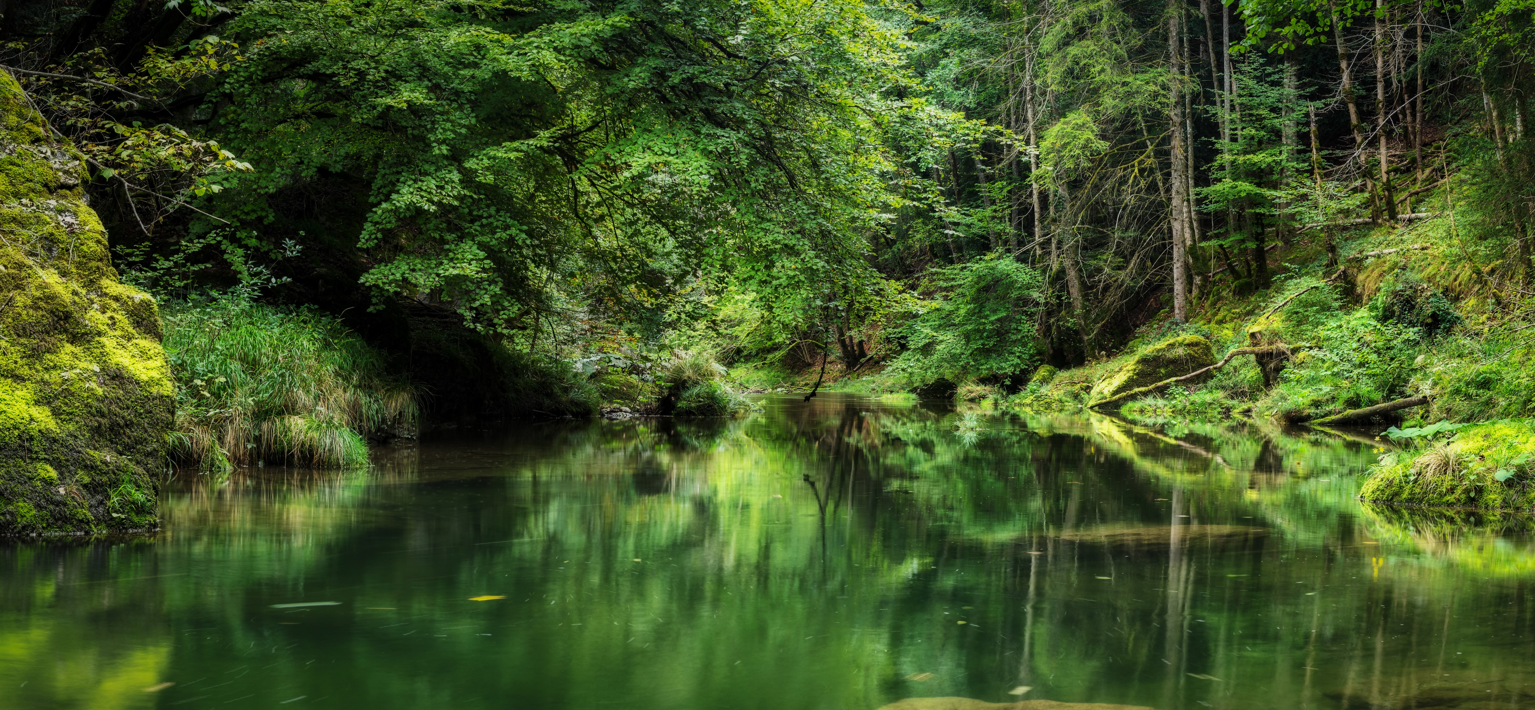 Gorges de l'Orbe Switzerland Forest River Moss HD Wallpaper