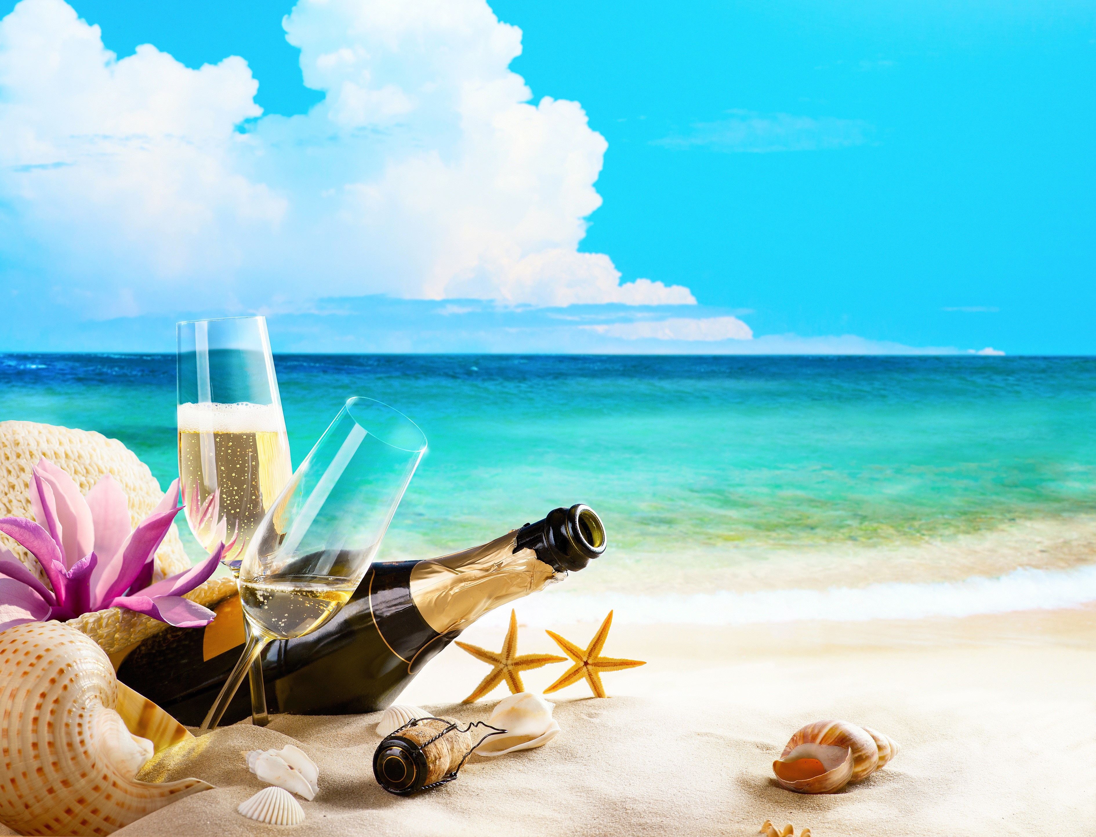 Champagne bottle and glasses on a beach with shells HD Wallpaper