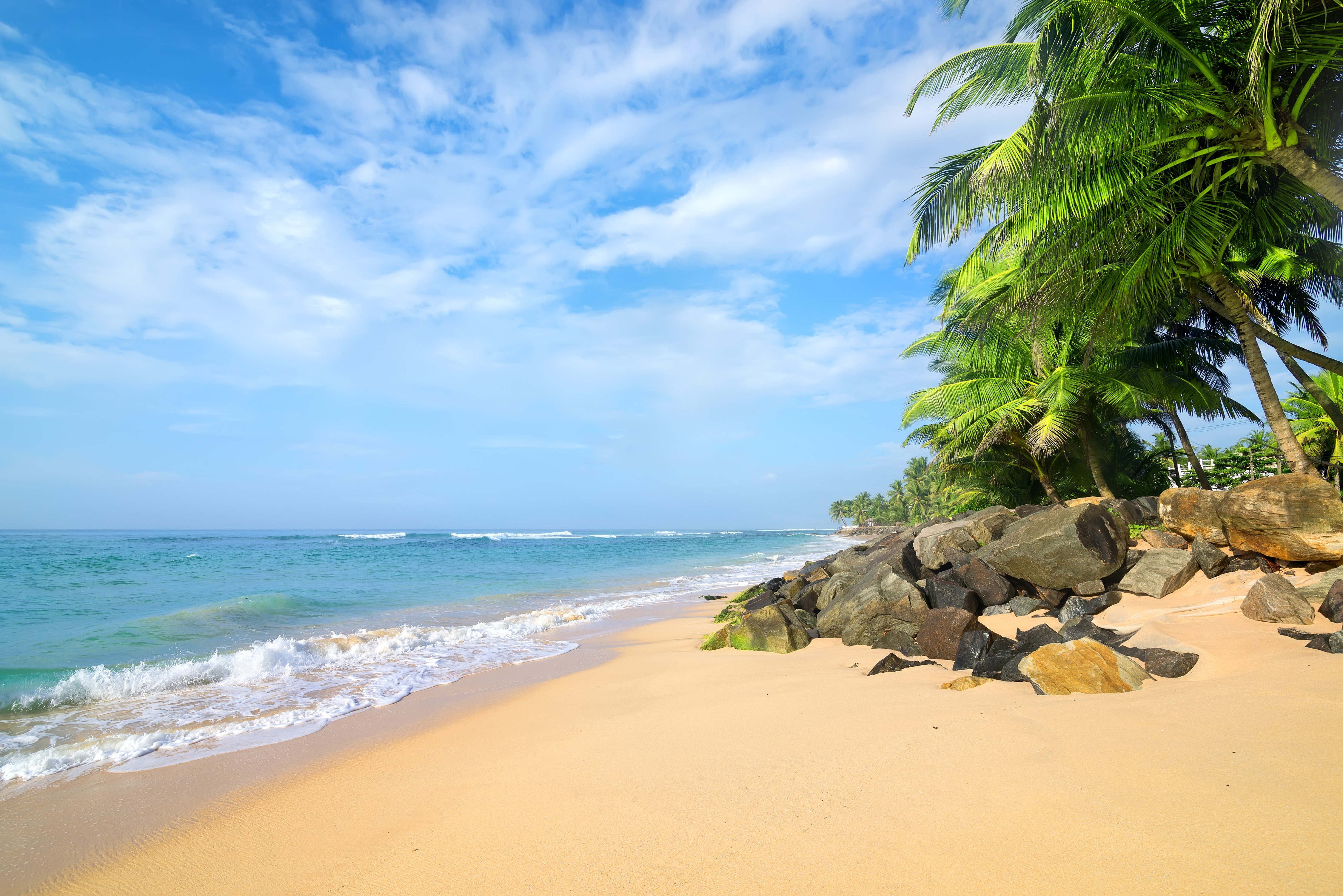 Tropical beach with palm trees and ocean waves HD Wallpaper