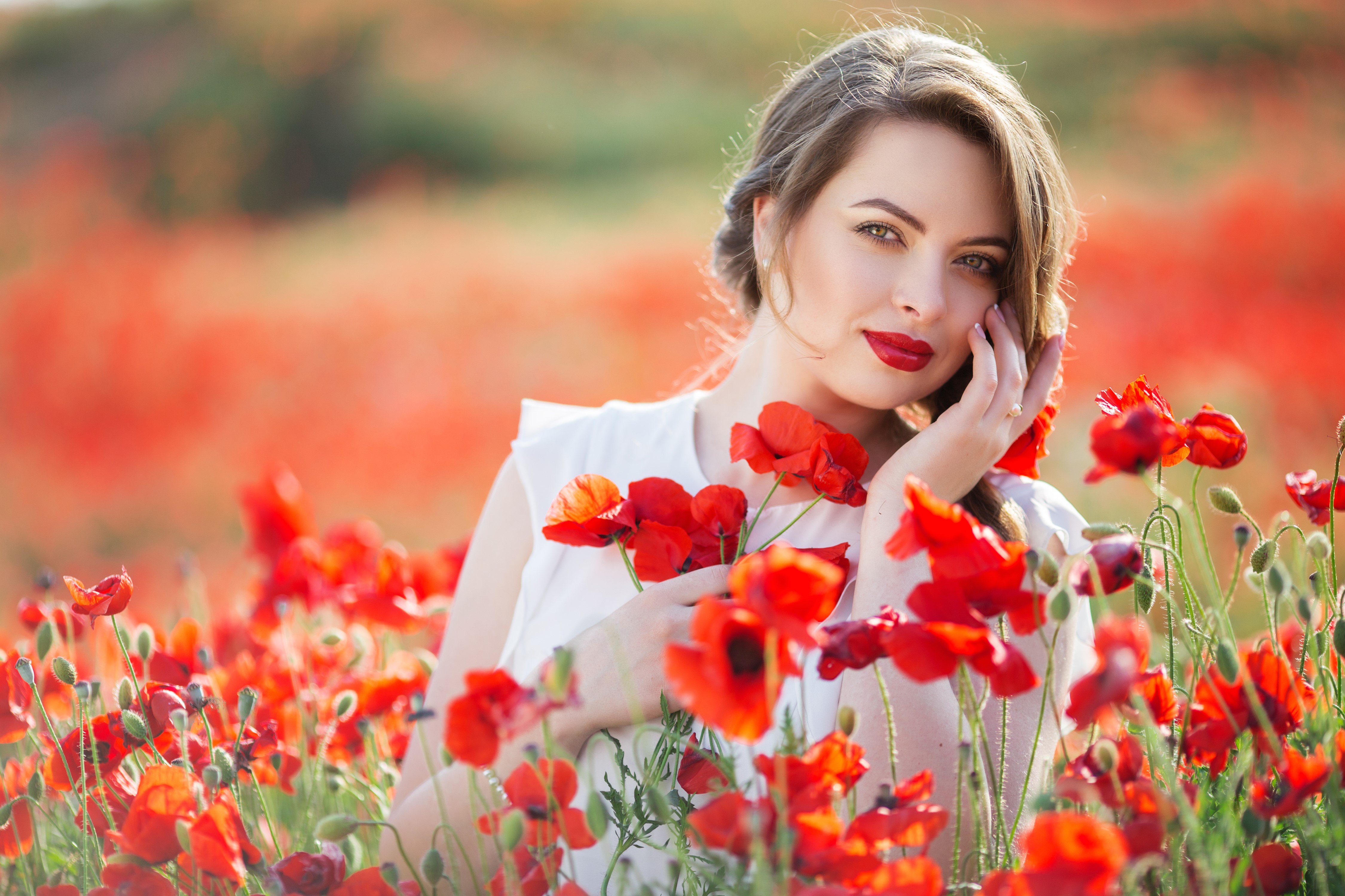 Woman with Brown Hair in Poppy Field HD Wallpaper
