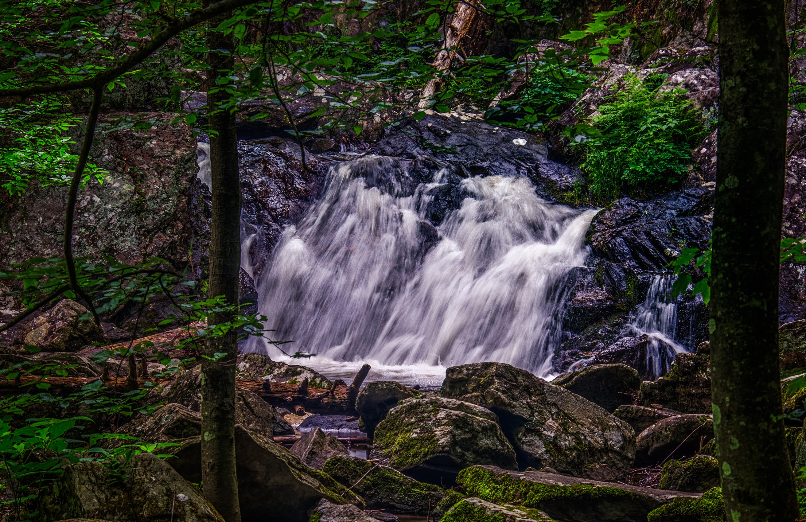 Waterfall at Campbell Falls State Park, USA HD Wallpaper