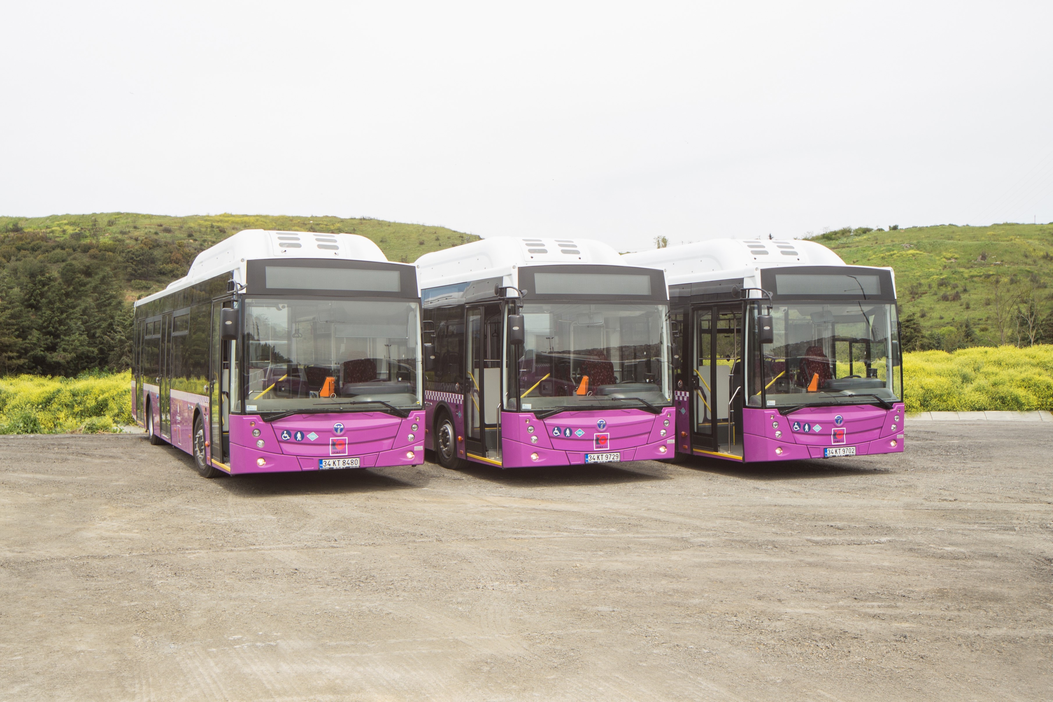Three Temsa Avenue LF CNG buses parked HD Wallpaper