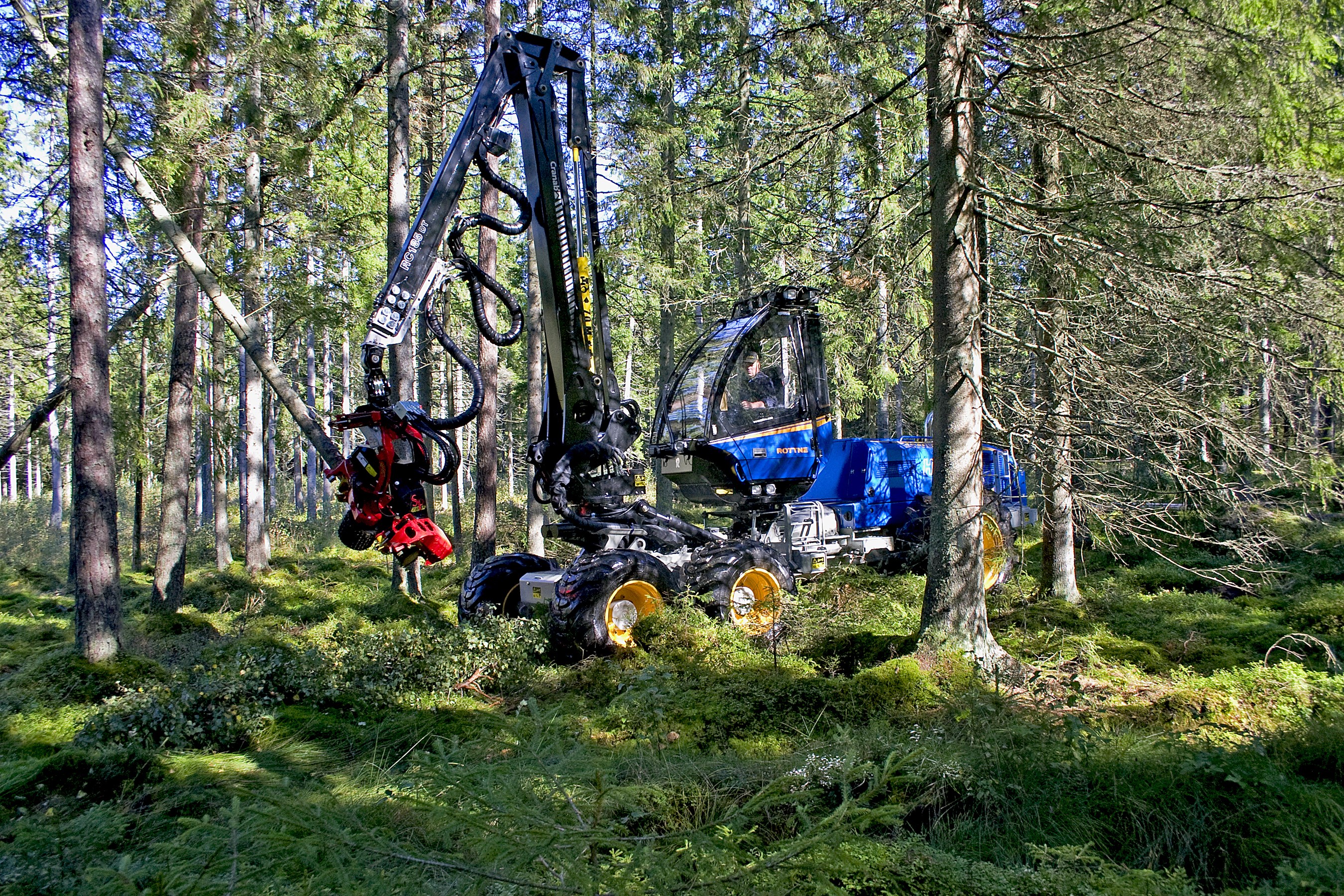 Rottne H11D 6WD harvester in a forest HD Wallpaper