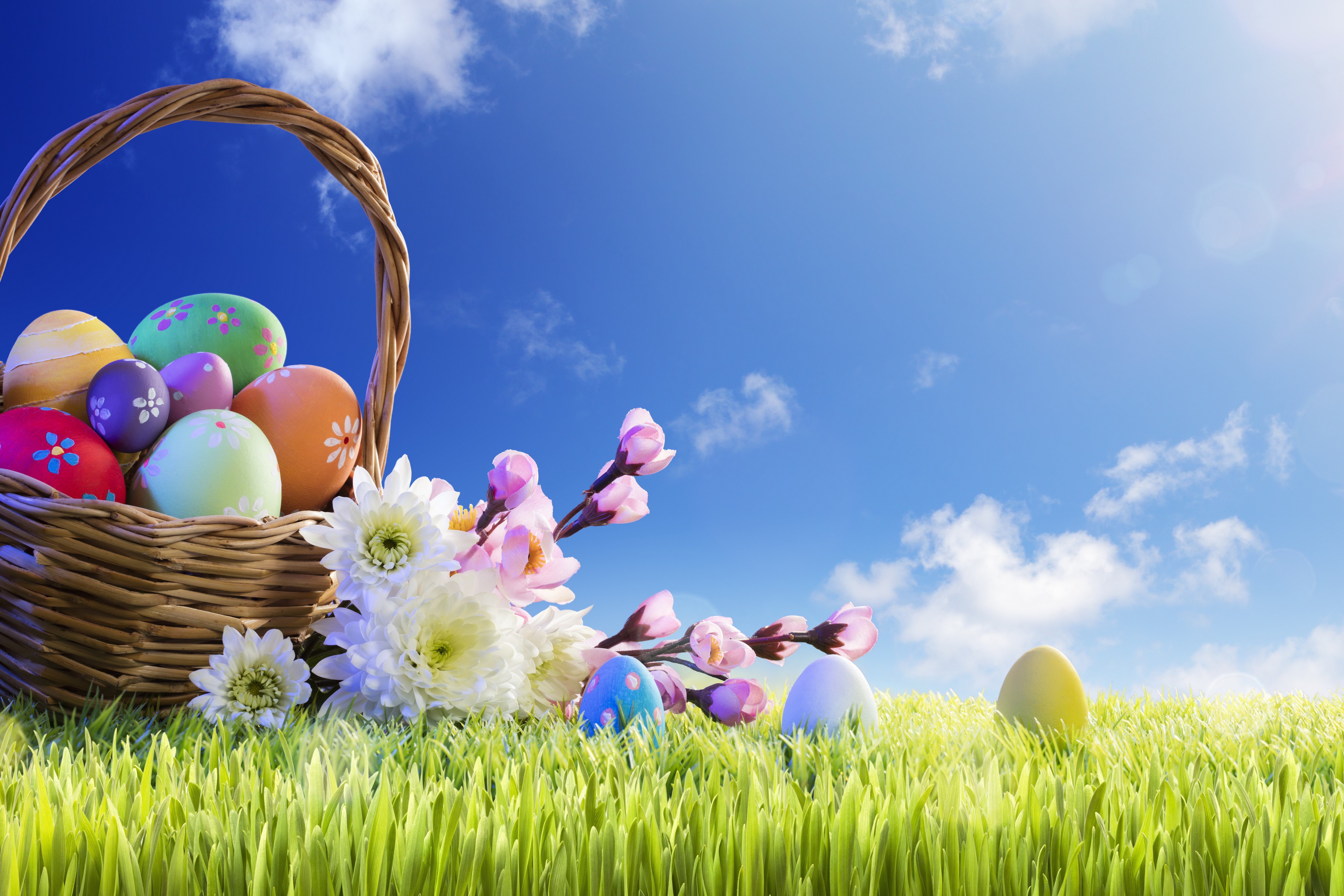 Easter eggs in a wicker basket on grass with blue sky HD Wallpaper
