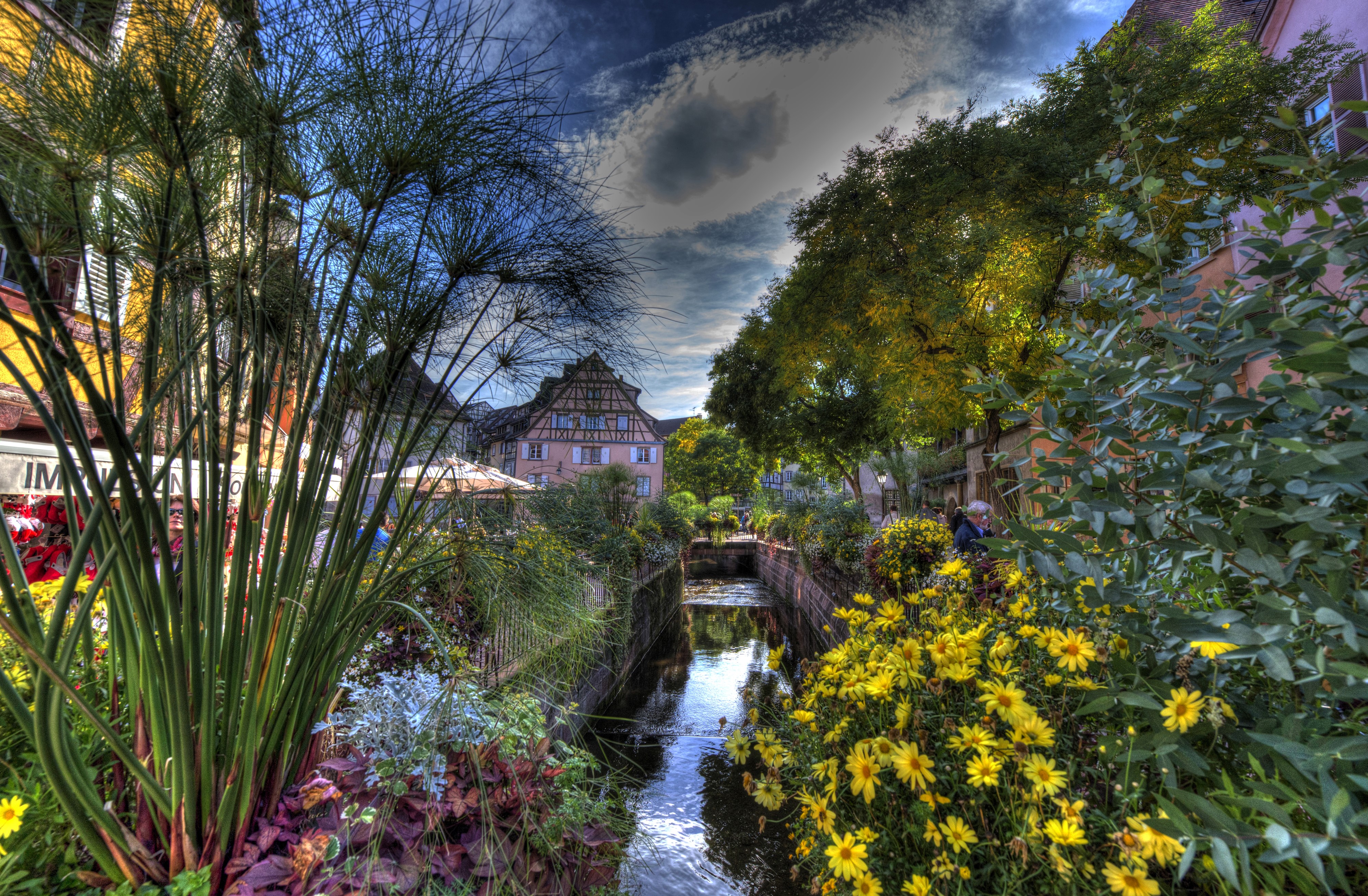 Colmar, France Canal with Houses and Flowers HD Wallpaper