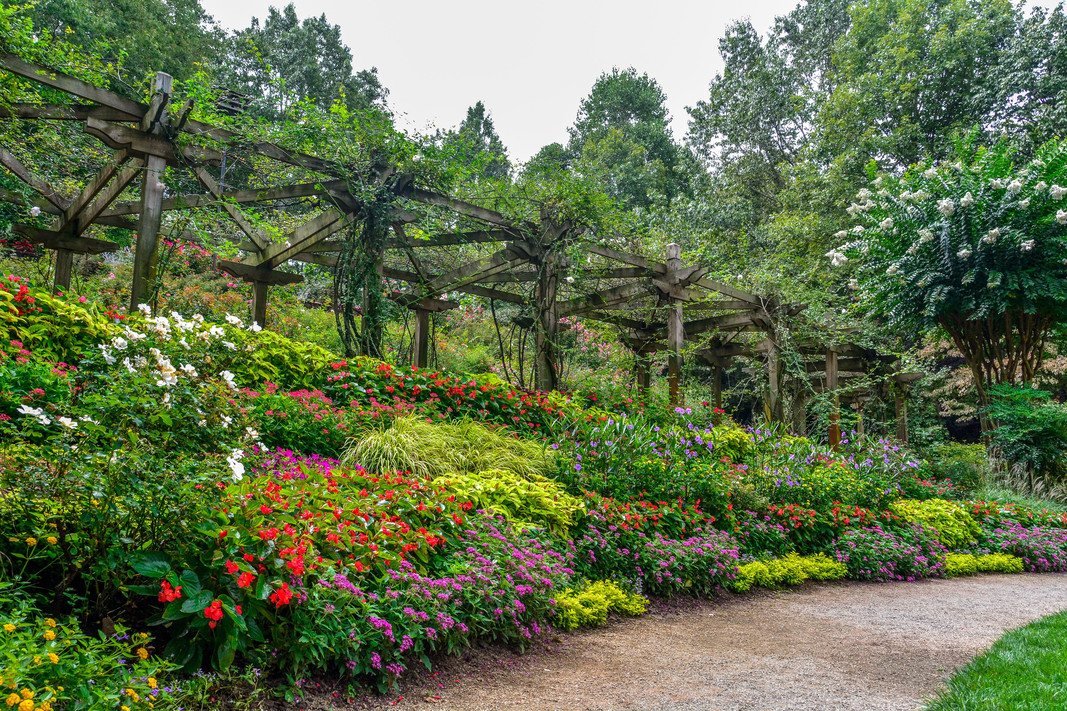 Gibbs Gardens flower beds and pergola HD Wallpaper