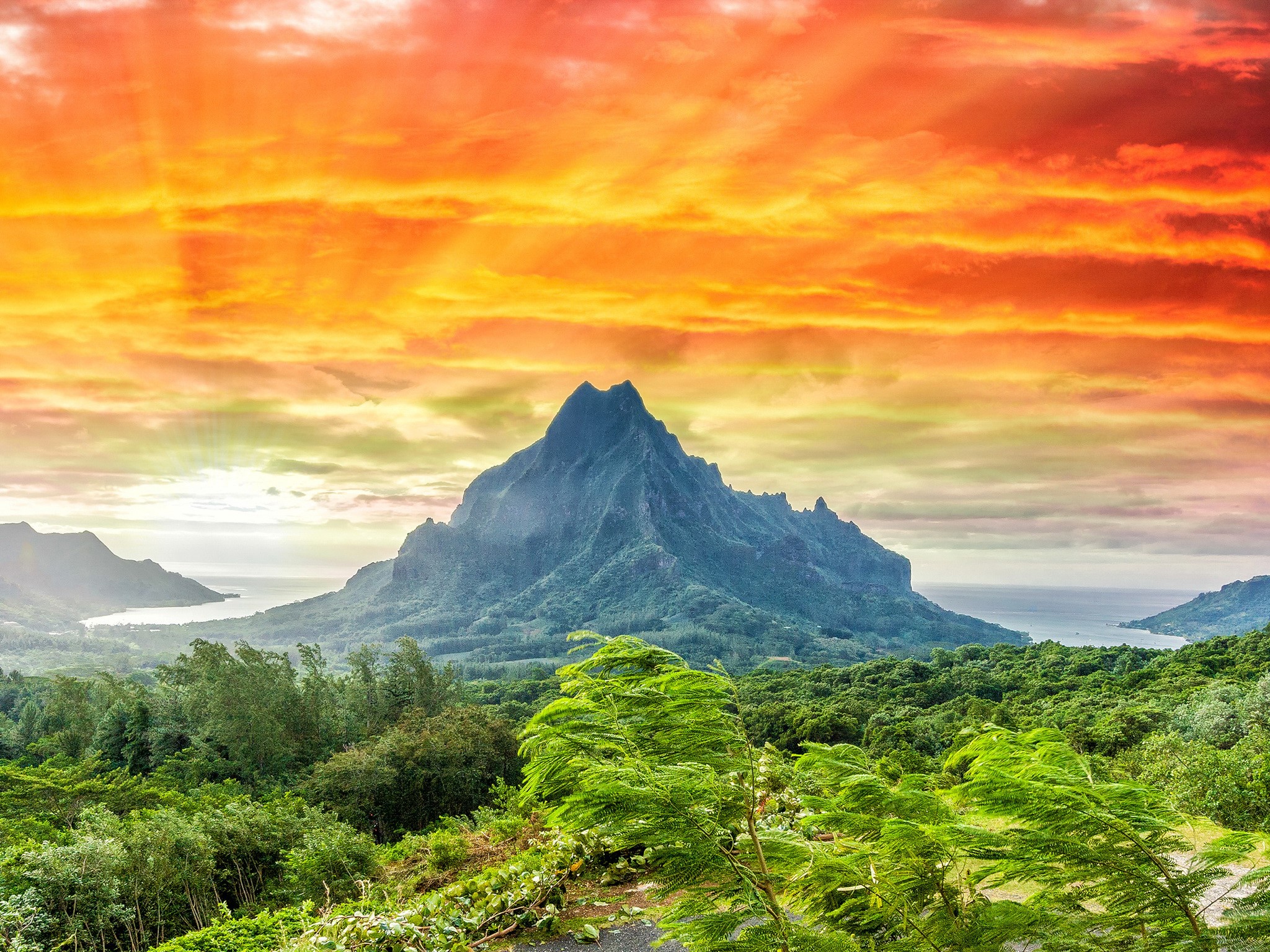 Tropical mountains and ocean at sunset HD Wallpaper