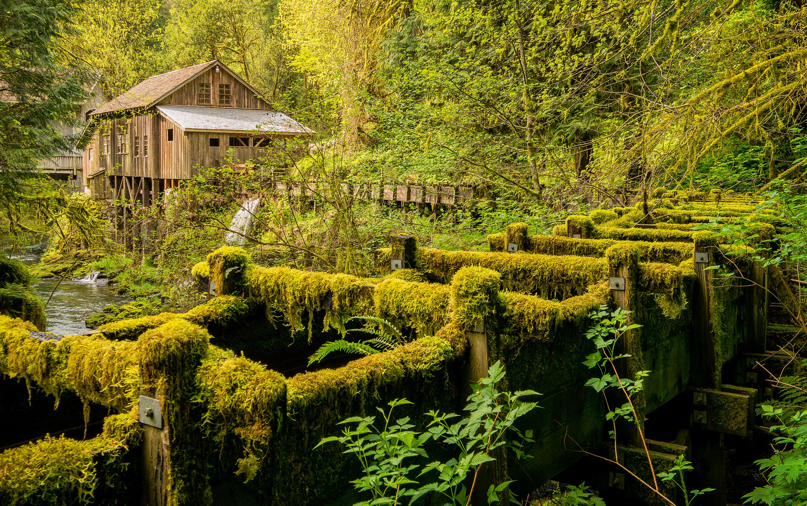 Moss-covered watermill and wooden building by a river HD Wallpaper