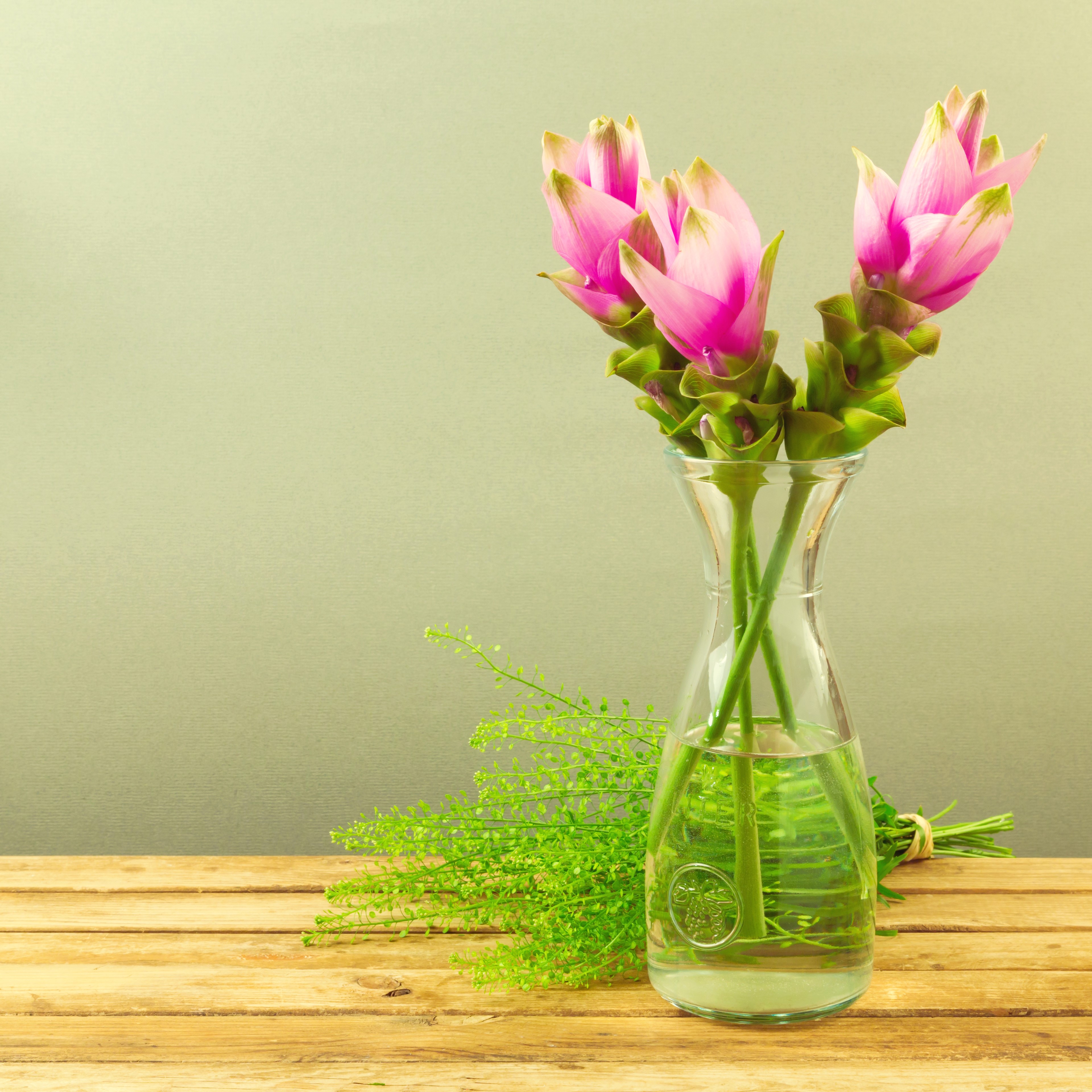 Three pink flowers in a vase with greenery HD Wallpaper