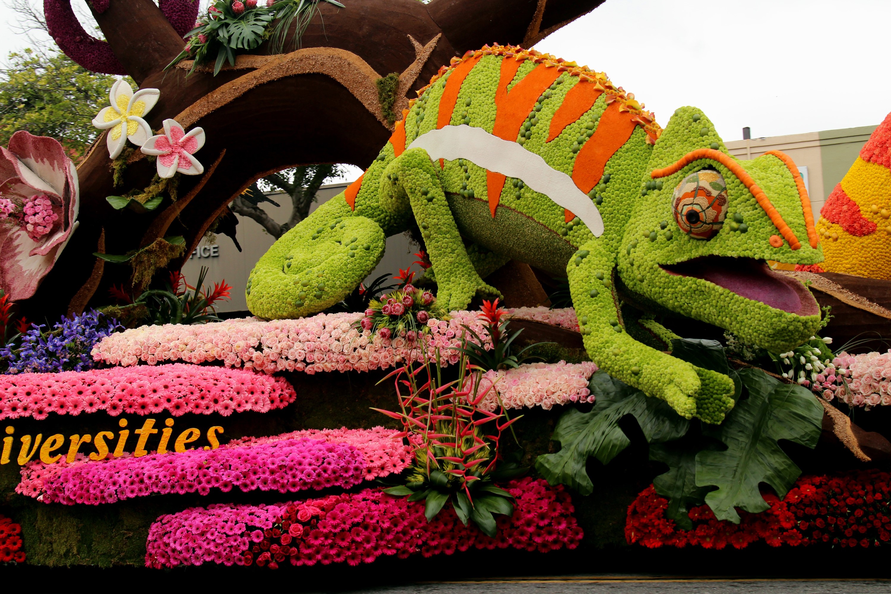 Chameleon float with flowers at Pasadena HD Wallpaper