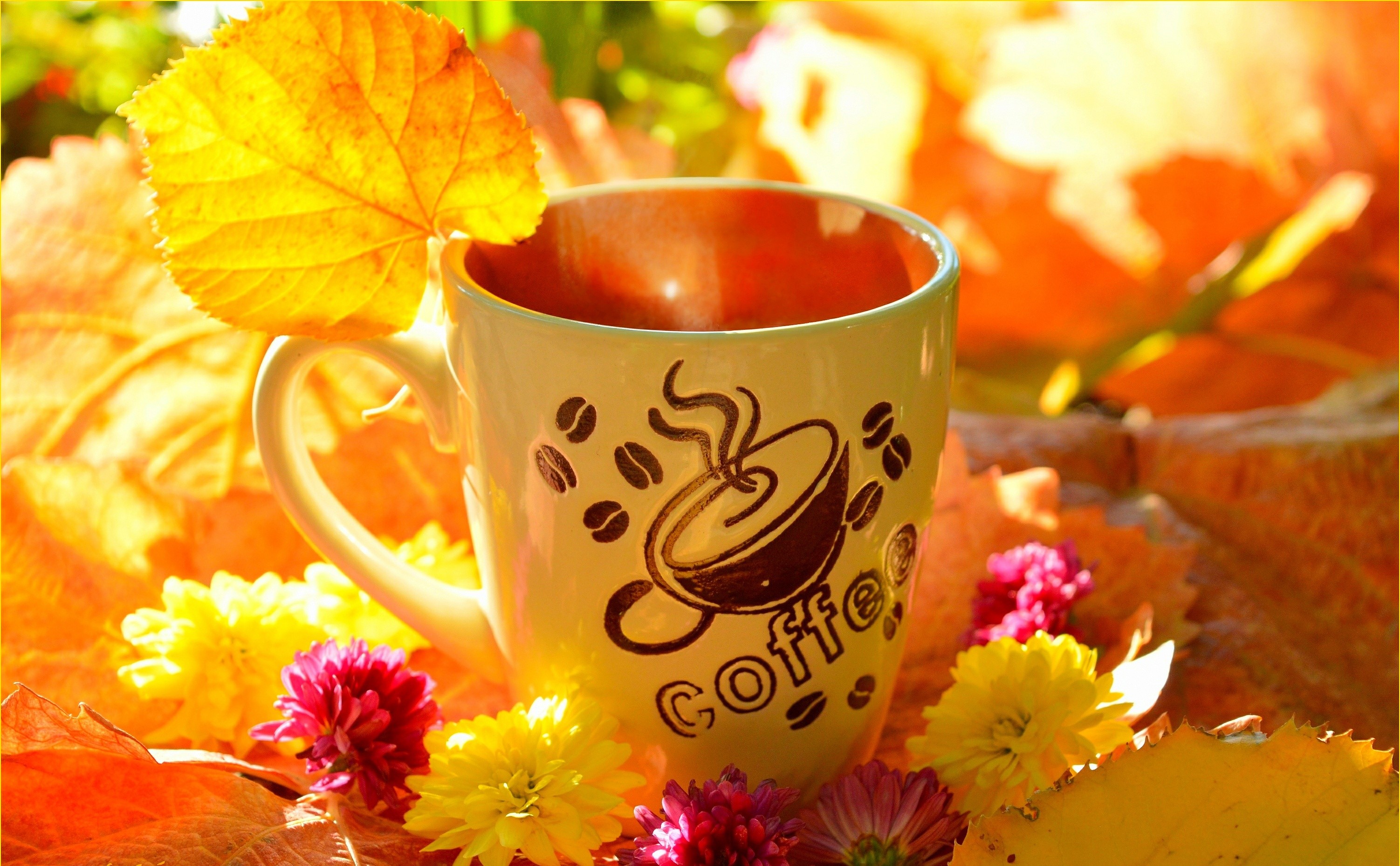 Coffee cup with autumn leaves and flowers HD Wallpaper