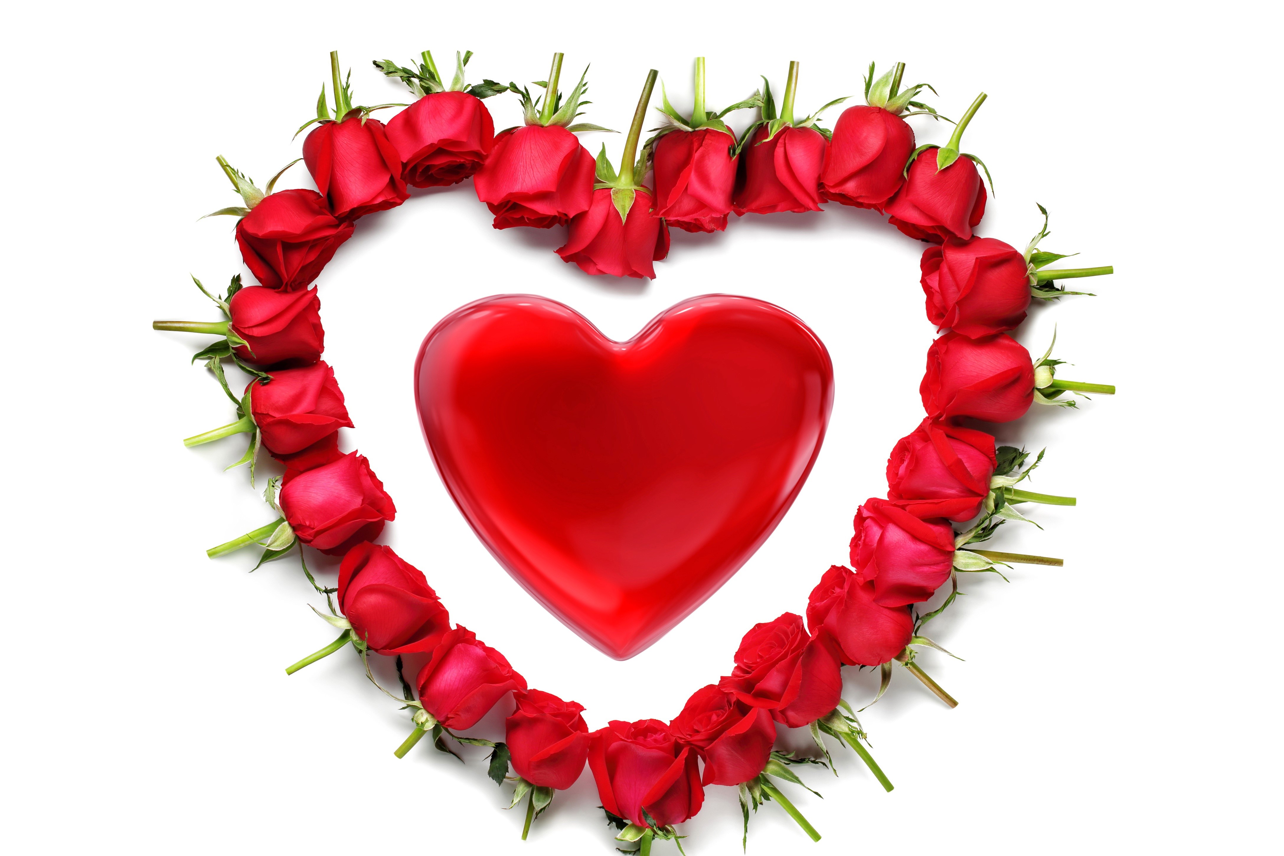 4K Roses Heart Valentine's Day HD Wallpaper