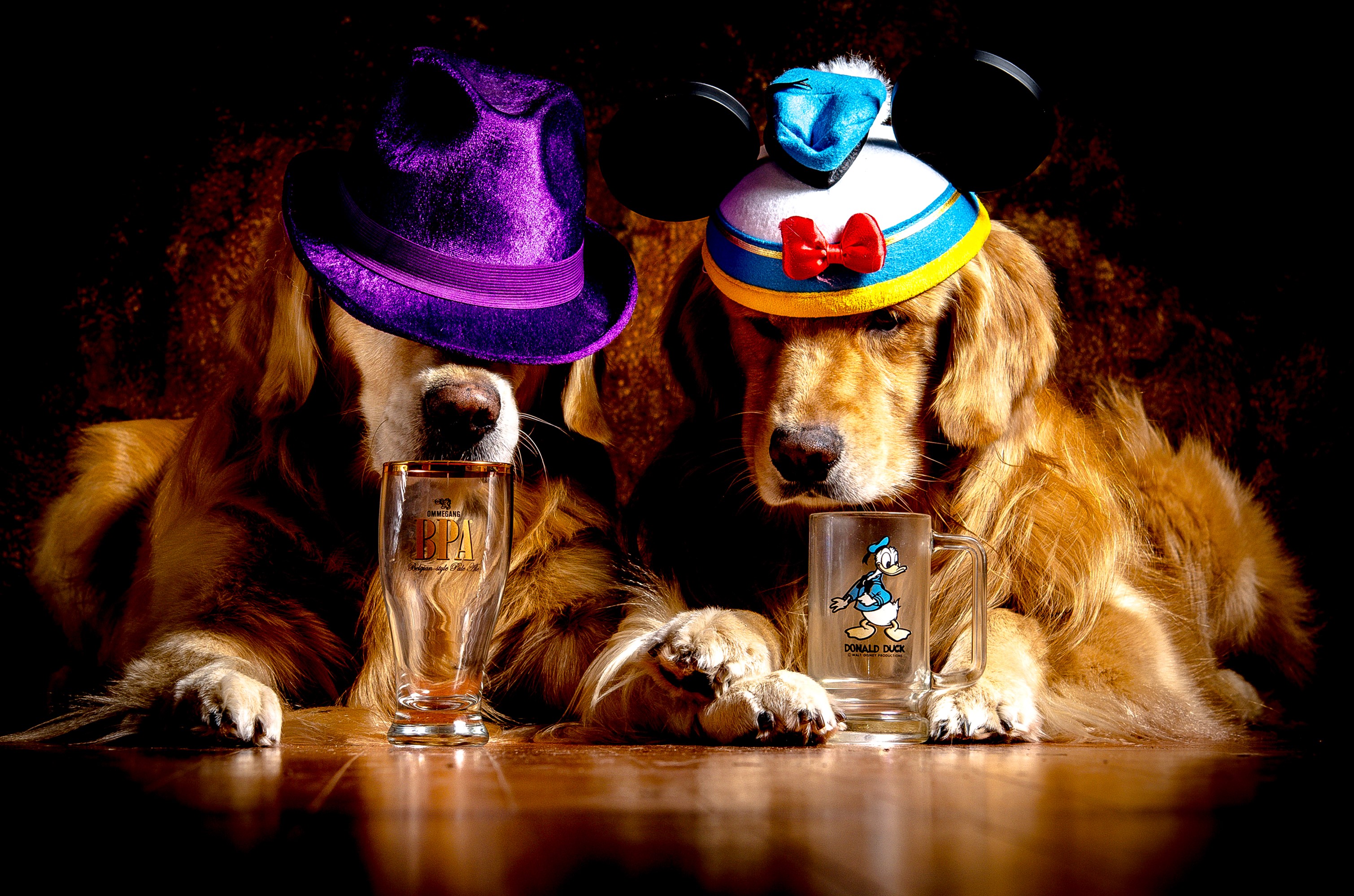 Two Golden Retrievers wearing hats and holding glasses HD Wallpaper