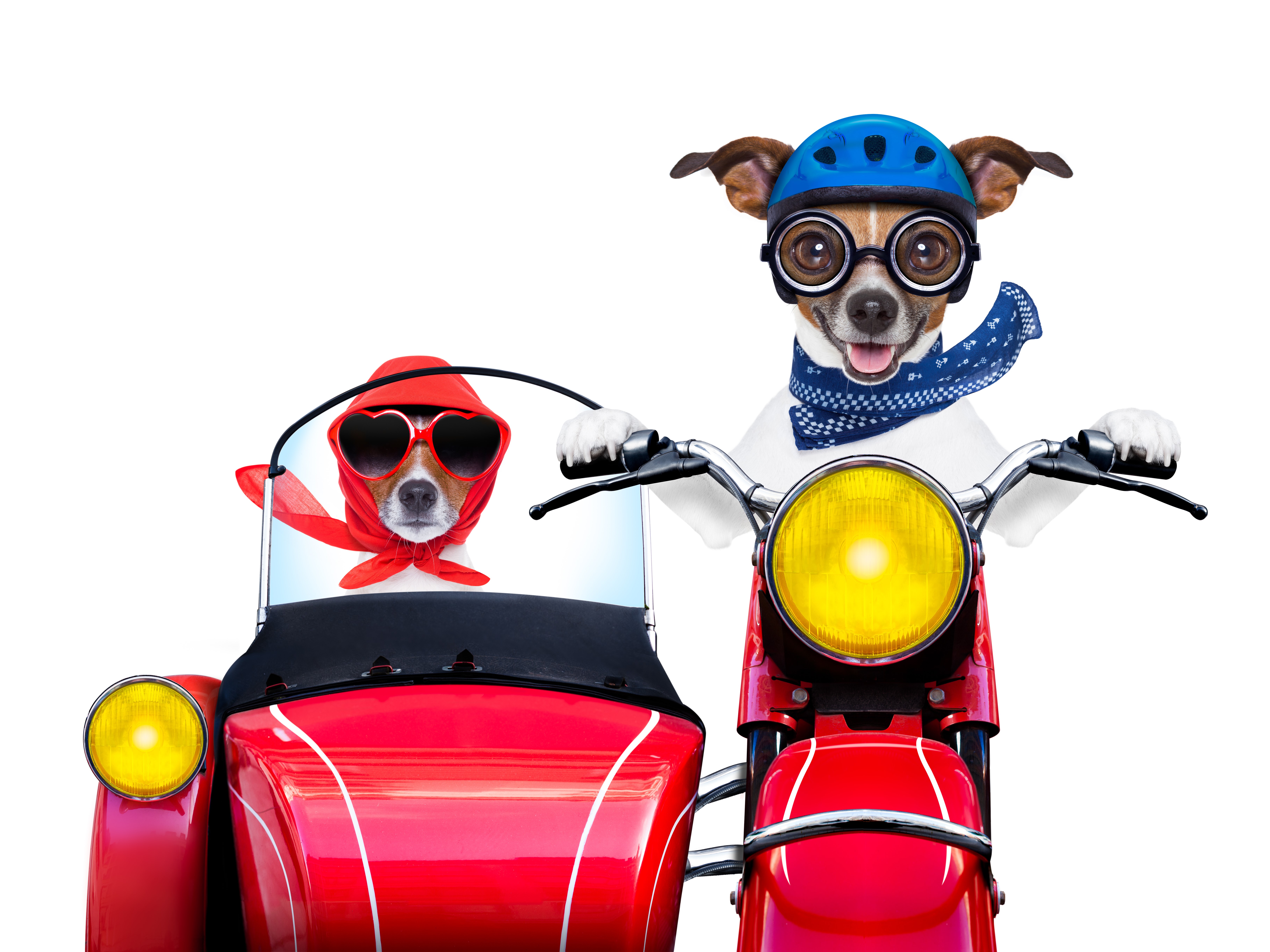 Two dogs on a red motorcycle with a sidecar HD Wallpaper